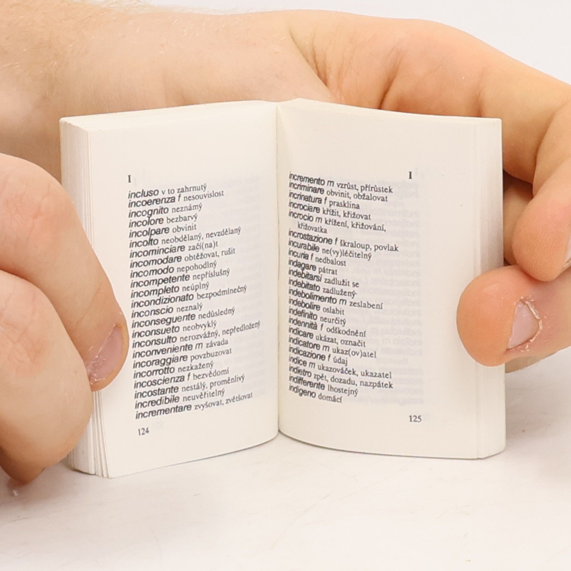 Various authors Italsko-český slovník / Dizionario italiano-ceco
