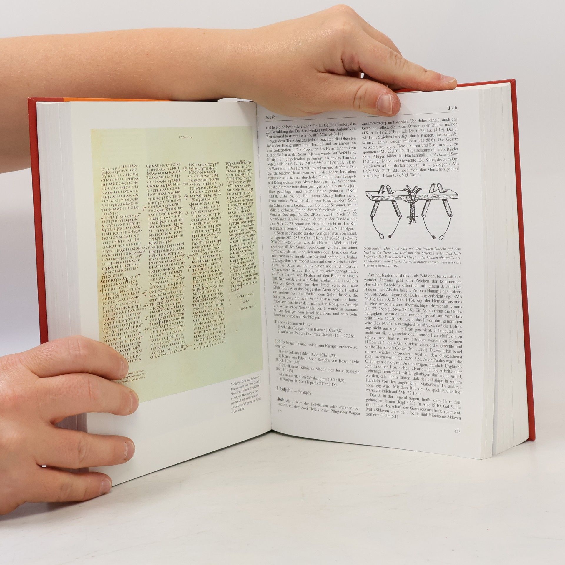 Fritz Rienecker Lexikon zur Bibel.