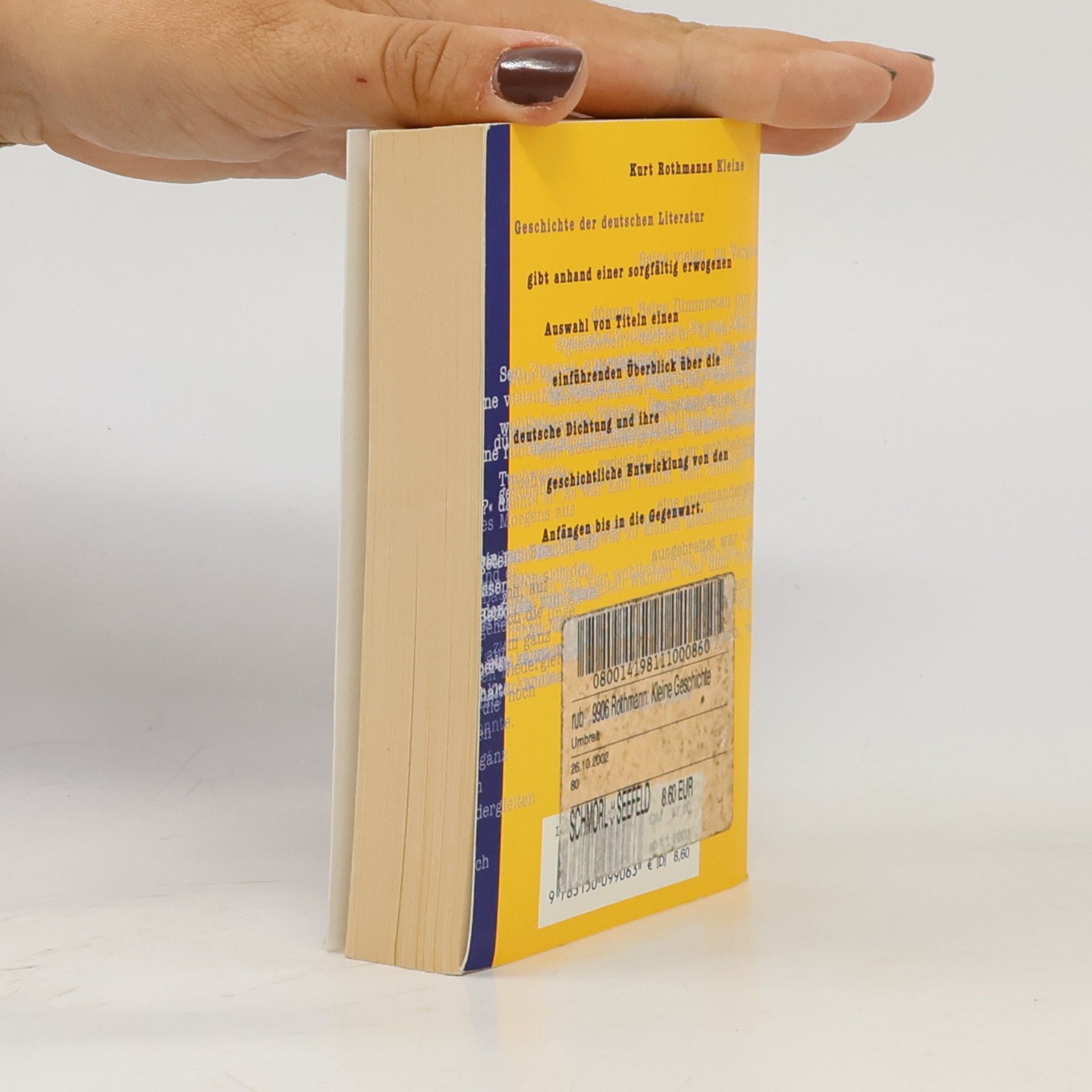 Kurt Rothmann Kleine Geschichte der deutschen Literatur