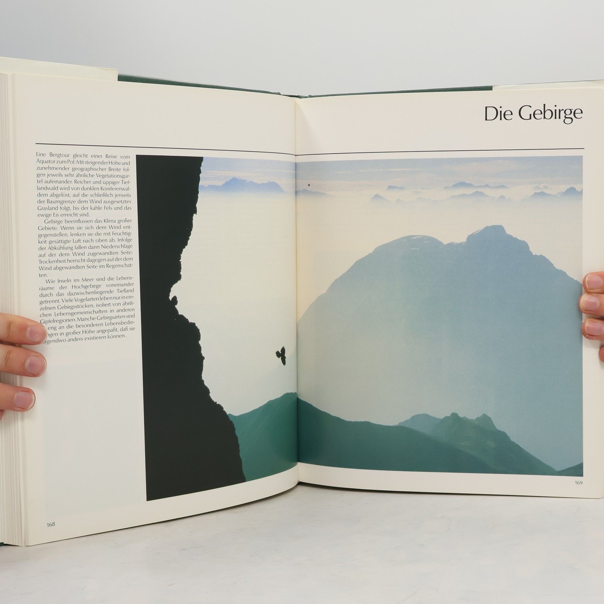 Autorenkollektiv Rettet die Vogelwelt