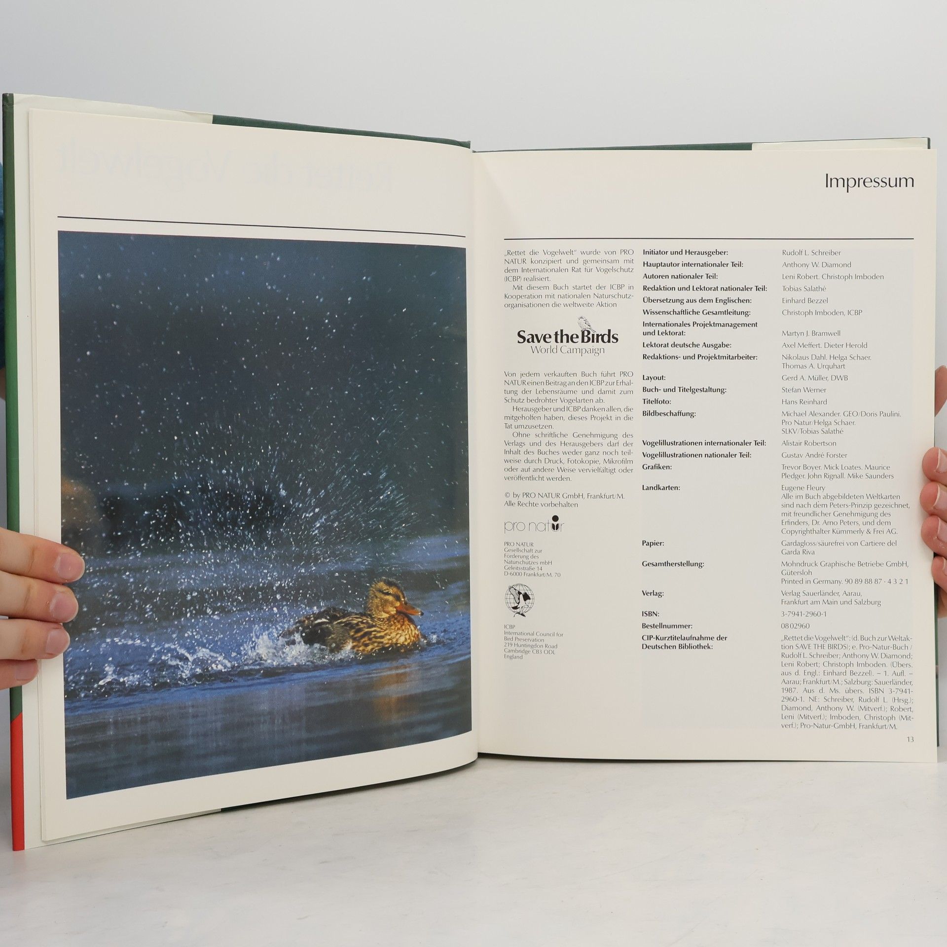 Autorenkollektiv Rettet die Vogelwelt