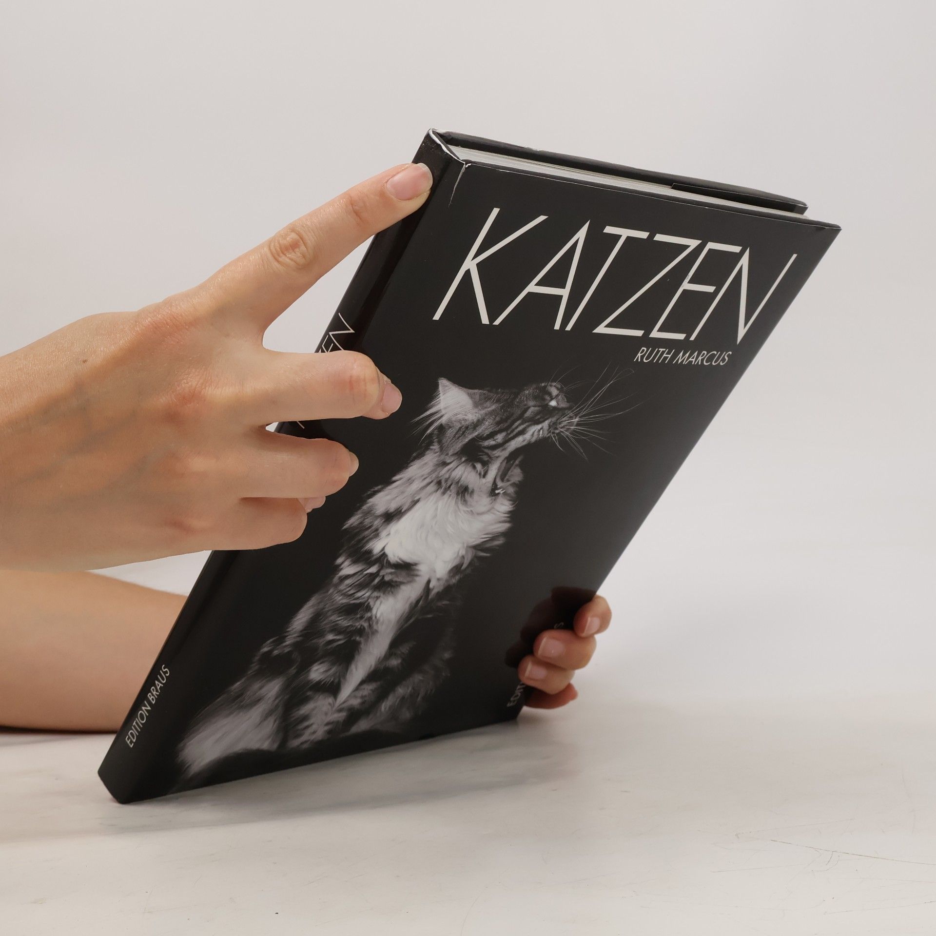 Ruth Marcus Katzen