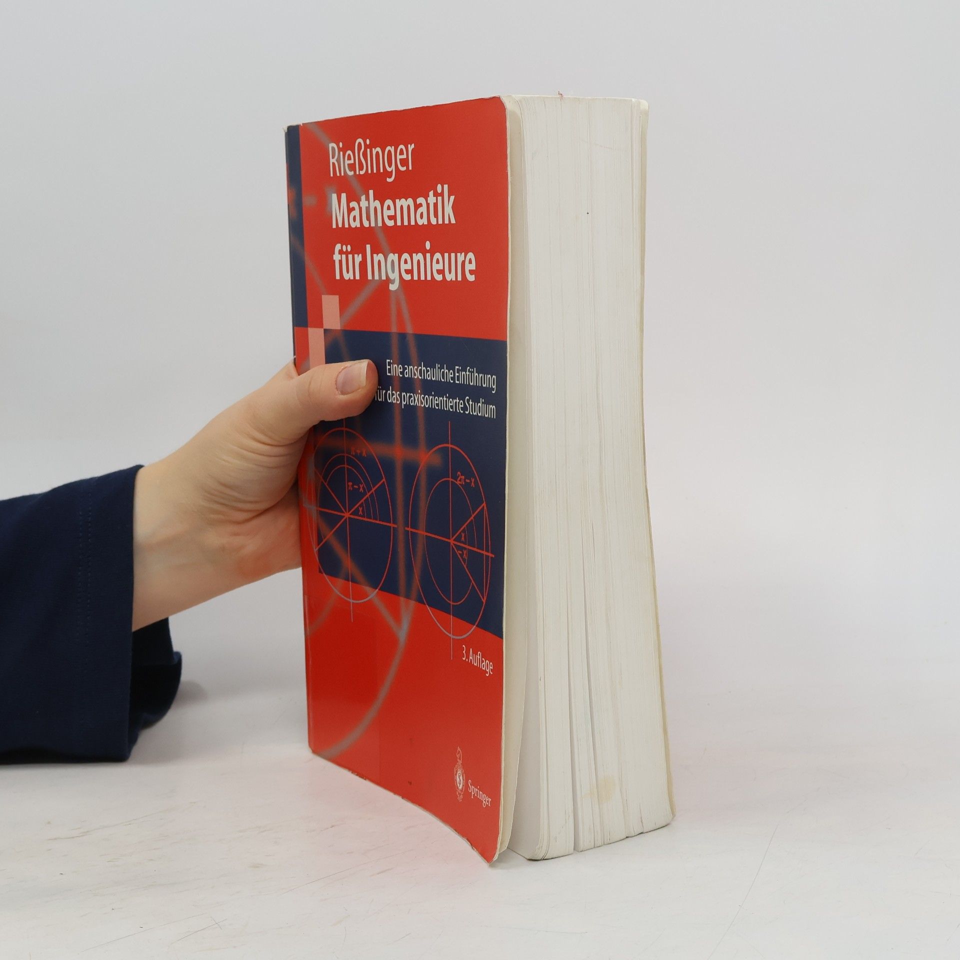Thomas Rießinger Mathematik für Ingenieure. Eine anschauliche Einführung für das praxisorientierte Studium