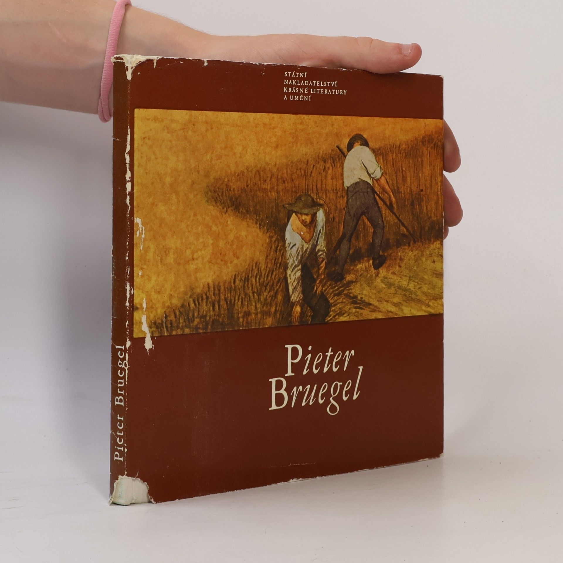 Jaromír Neumann Pieter Bruegel