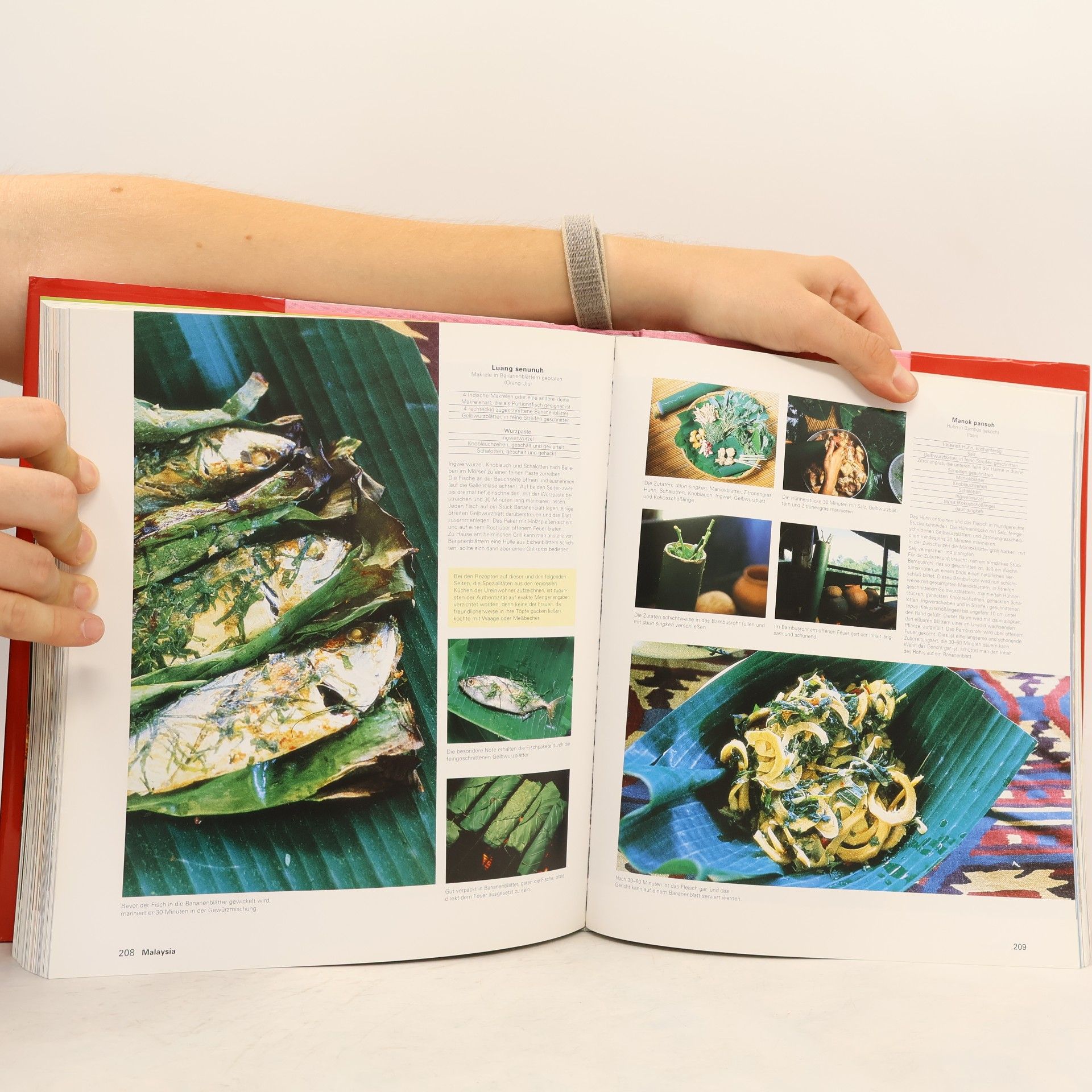 Rosalind Mowe Culinaria. Südostasiatische Spezialitäten. Eine kulinarische Reise