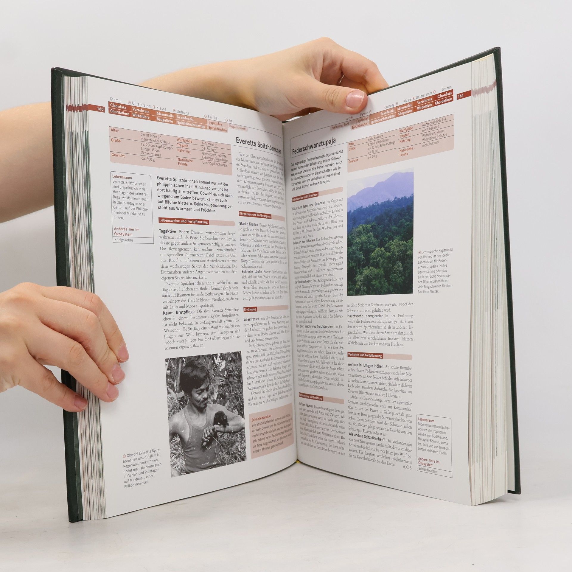 Autorenkollektiv Faszination Natur. Säugetiere I