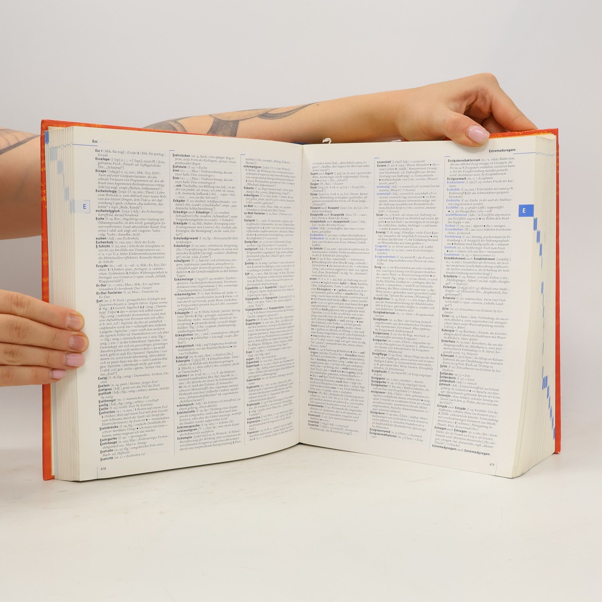 Gerhard Wahrig Deutsches Wörterbuch : mit einem Lexikon der deutschen Sprachlehre