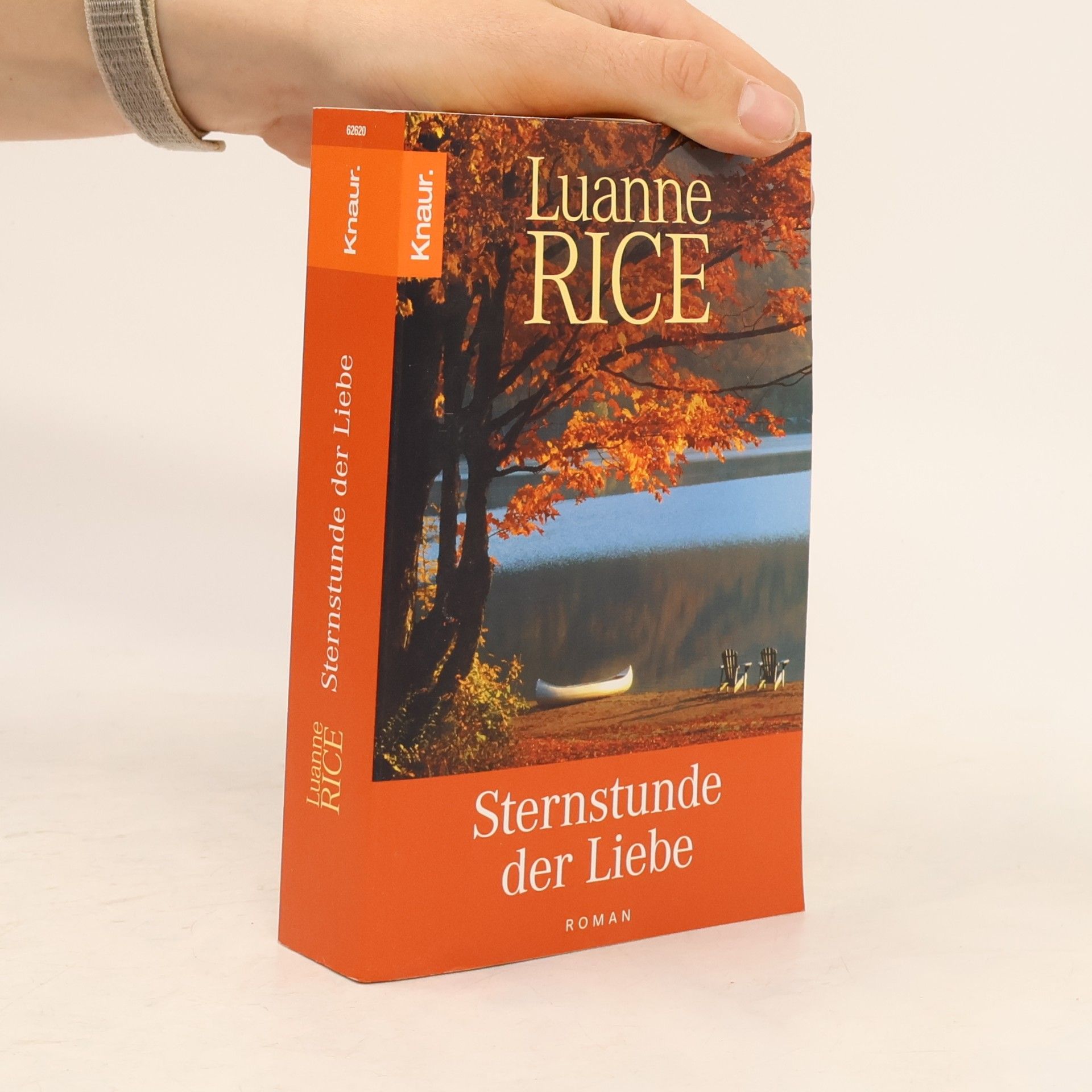 Luanne Rice Sternstunde der Liebe