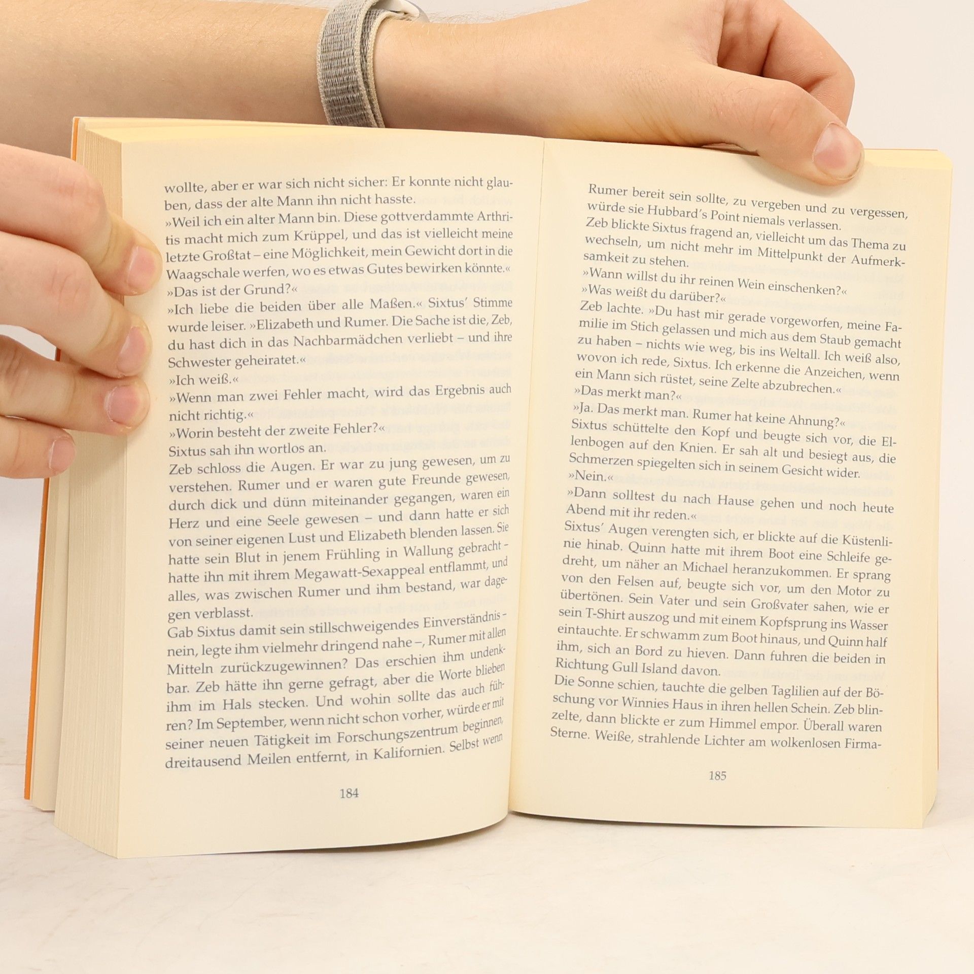 Luanne Rice Sternstunde der Liebe