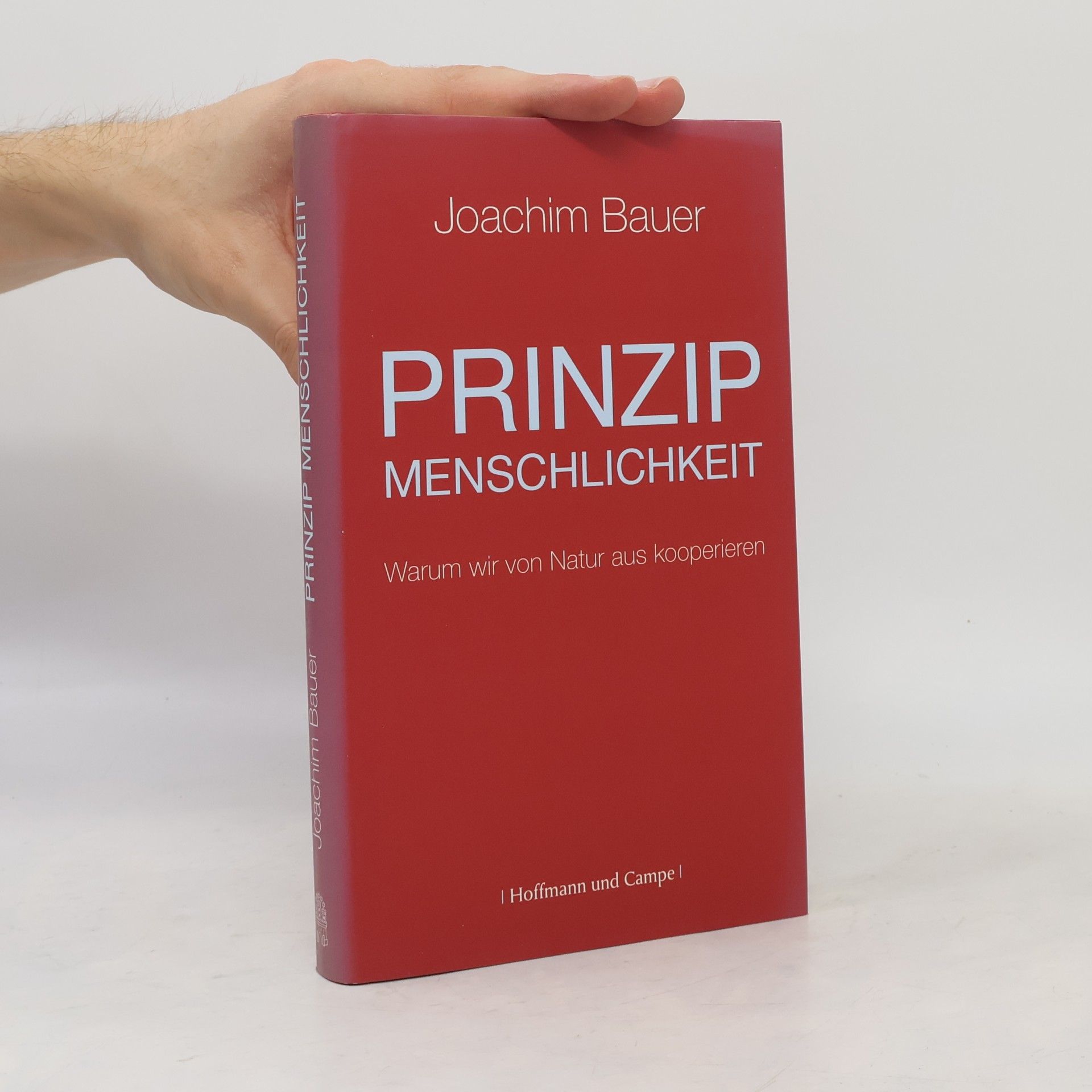 Prinzip Menschlichkeit