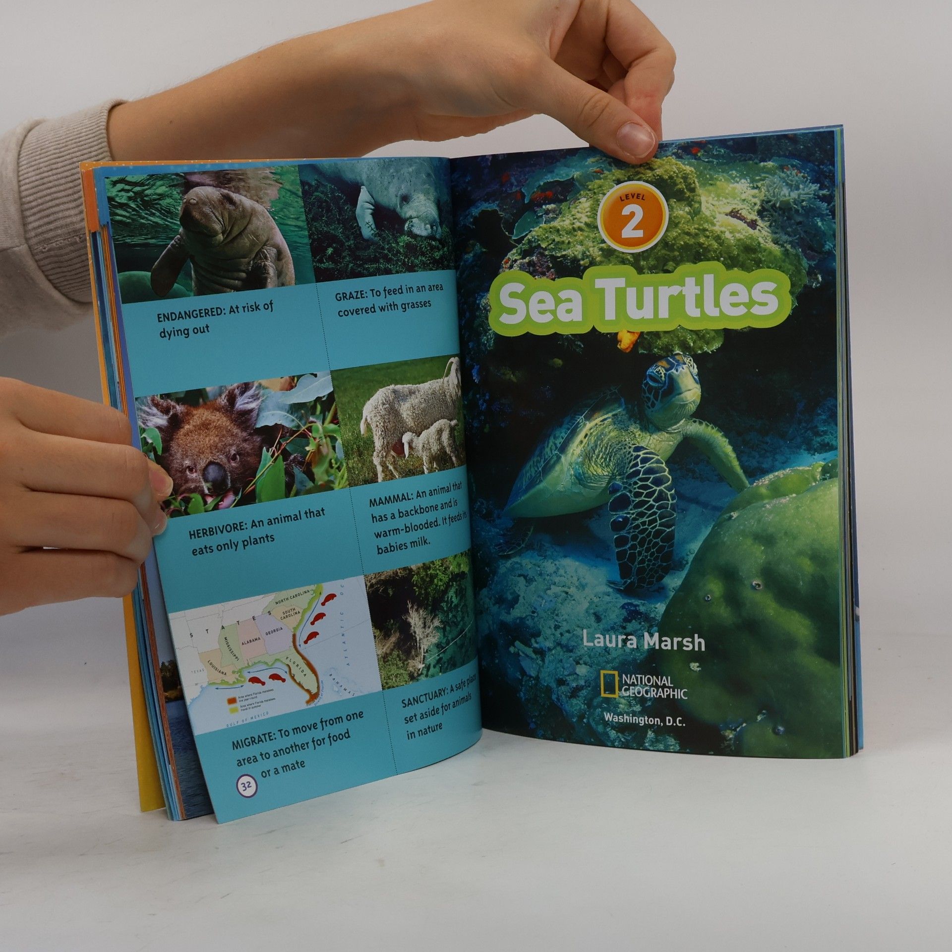 National Geographic Kids National Geographic Readers: Superstars of the Sea Collection - Level 2