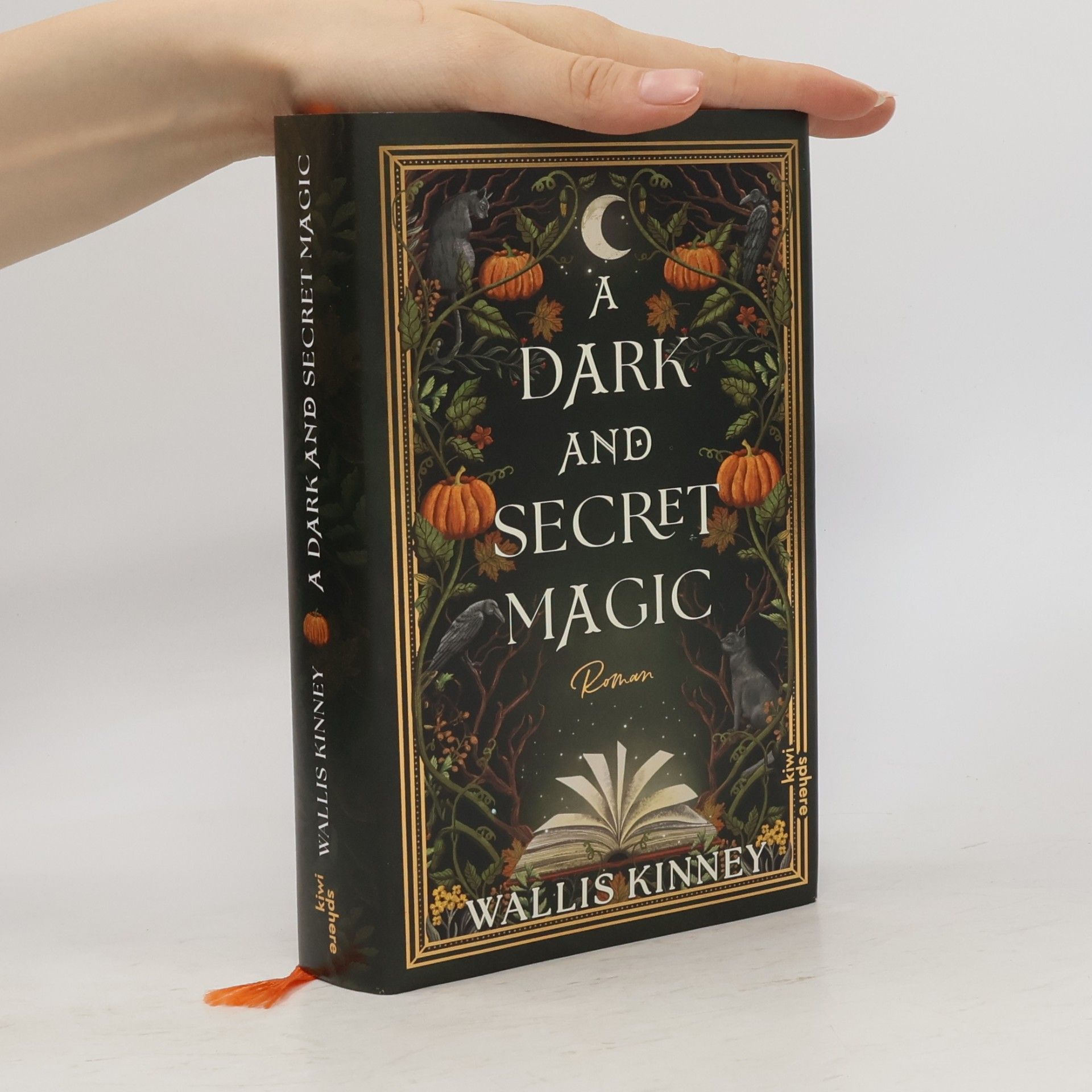 Wallis Kinney A Dark and Secret Magic