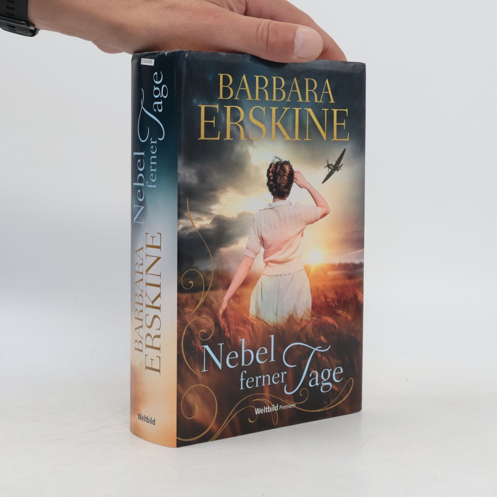 Barbara Erskinová Nebel ferner Tage