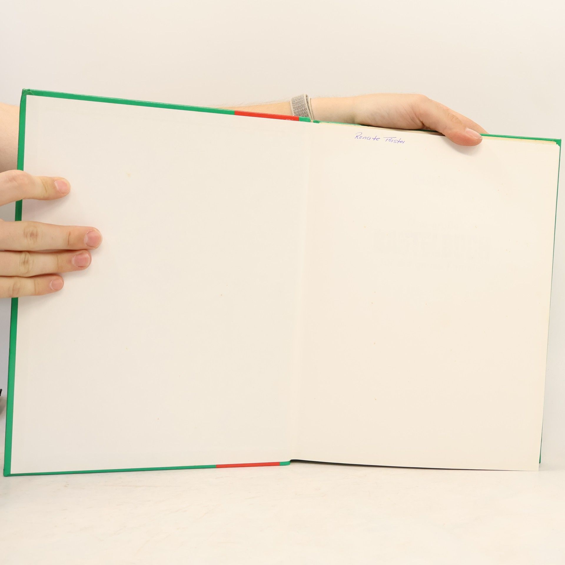 Anne Thiemeyer Das große Bastelbuch