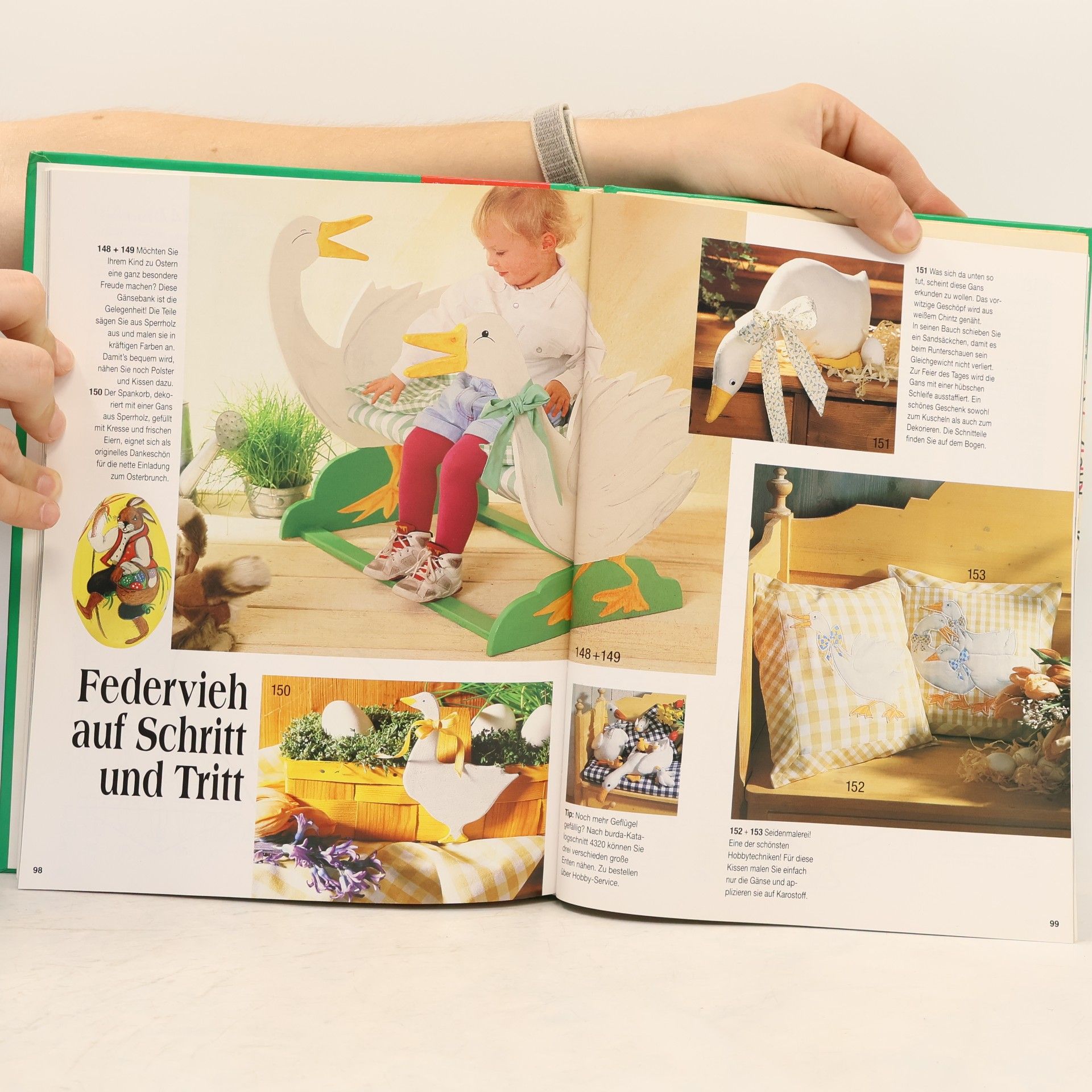 Anne Thiemeyer Das große Bastelbuch