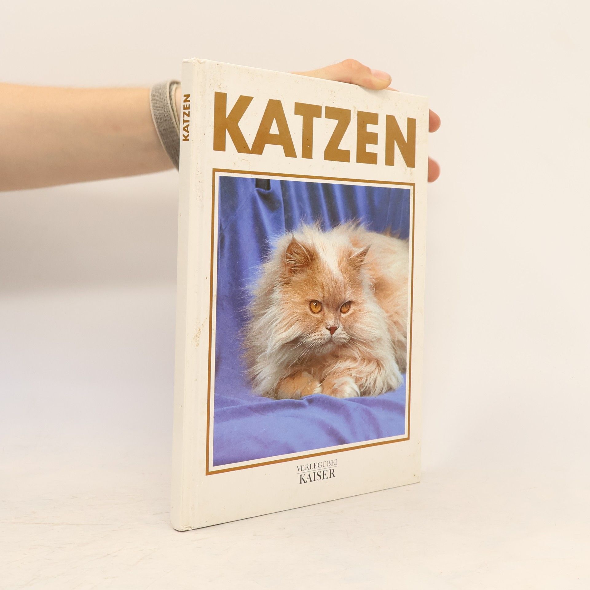 Autorenkollektiv Katzen