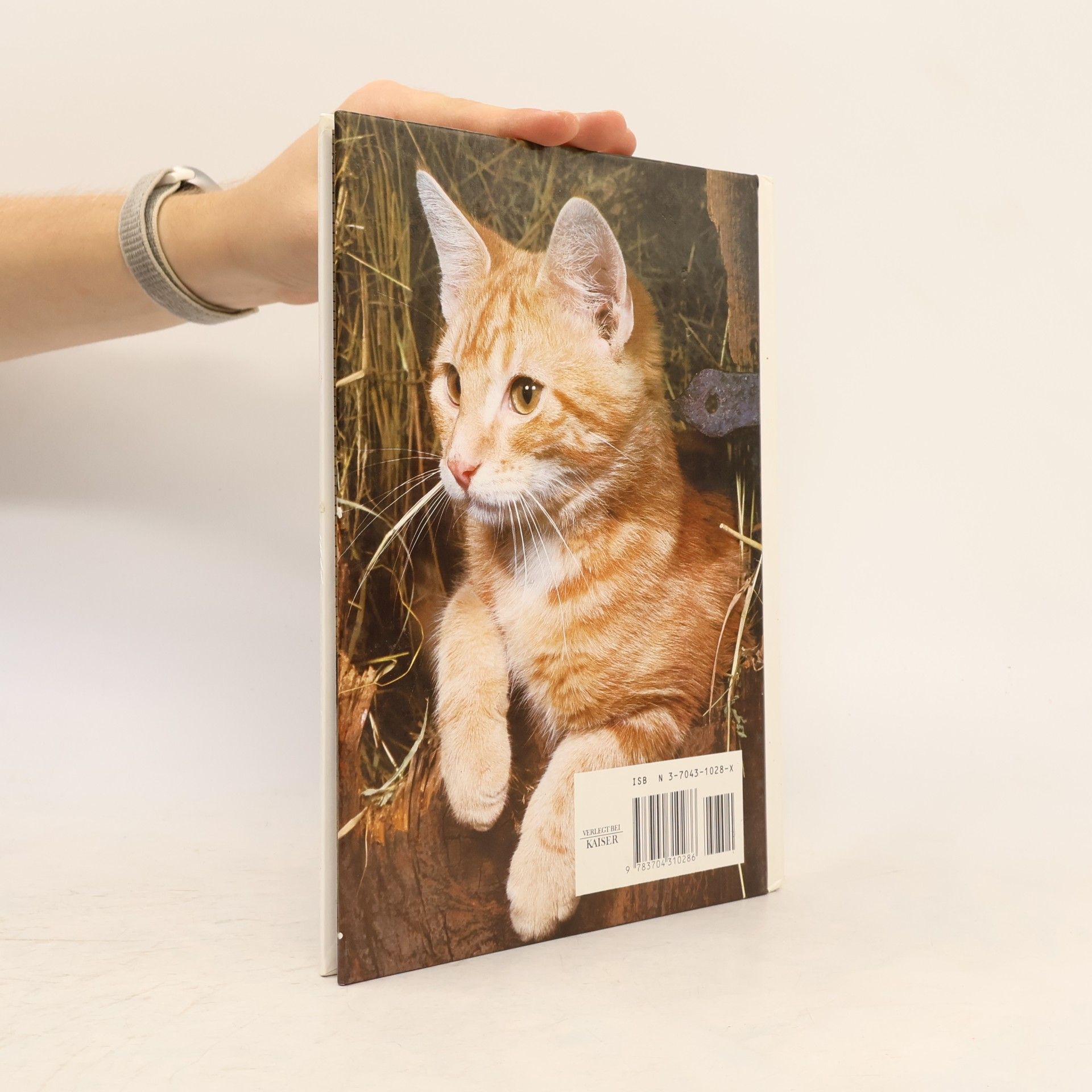 kolektiv Katzen