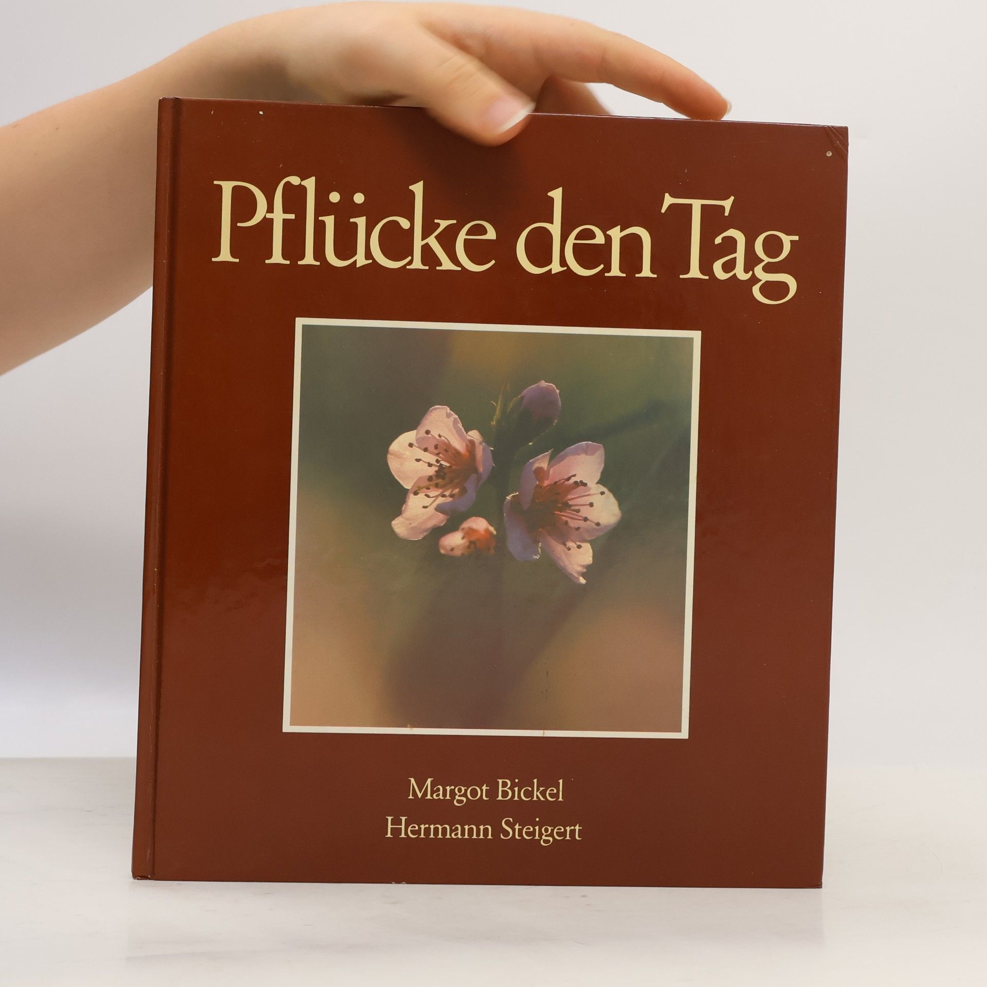 Margot Bickel Pflücke den Tag