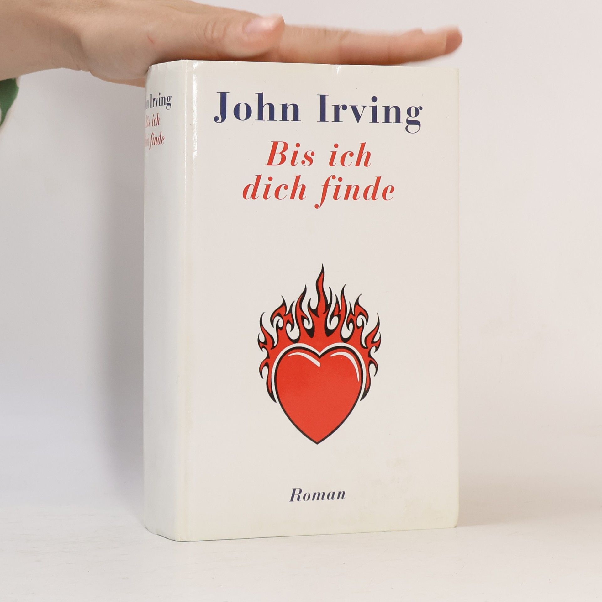 John Irving Bis ich dich finde