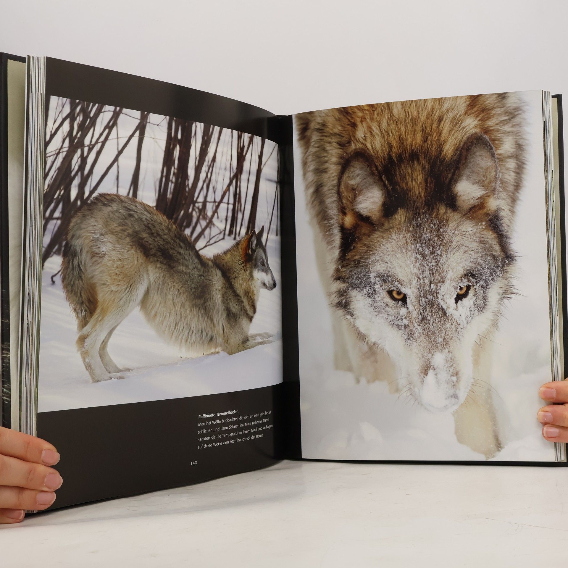 Monty Sloan Der Wolf. Faszinierende Einblicke und spektakuläre Fotografien