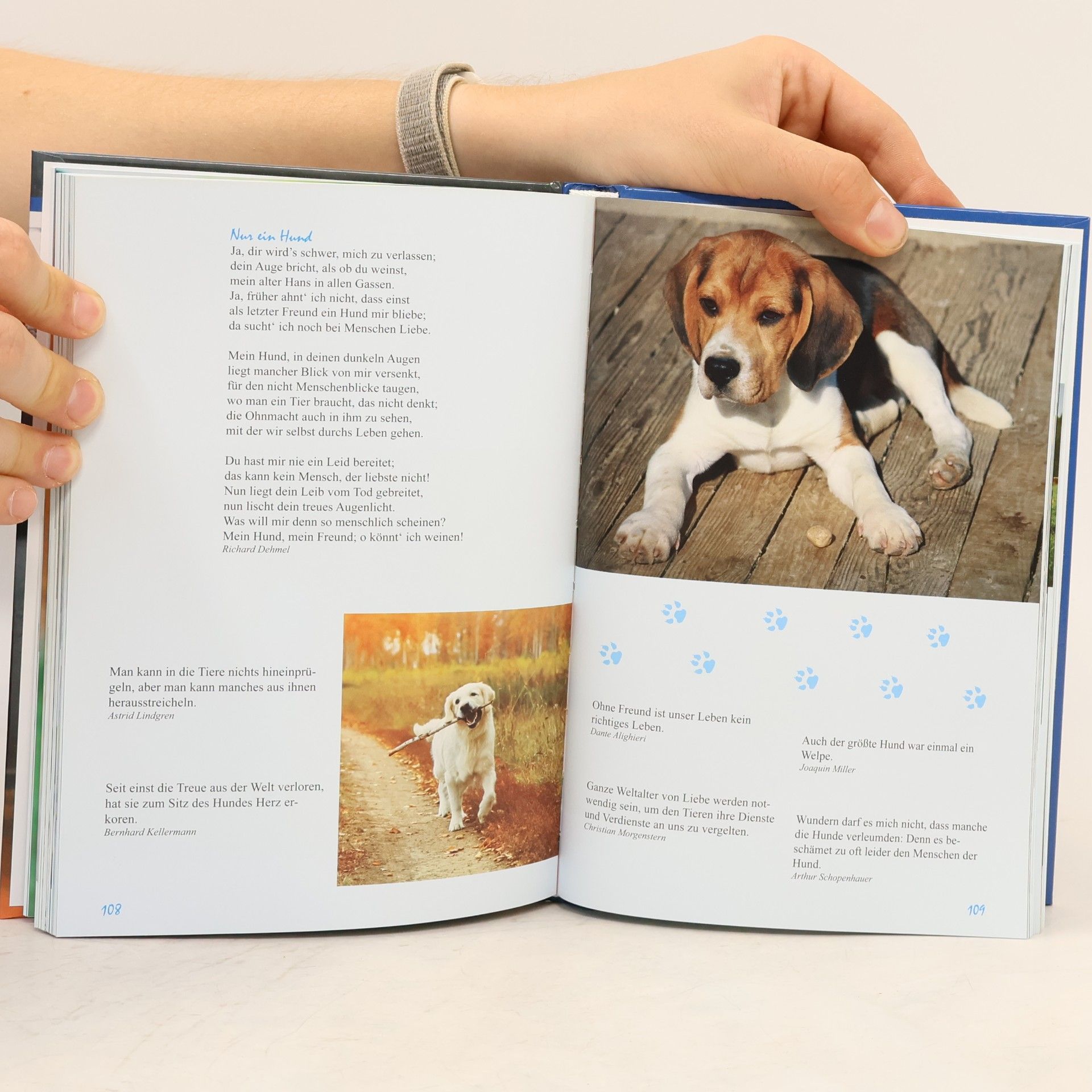 AA.VV. Ein Lesebuch für Hundefreunde