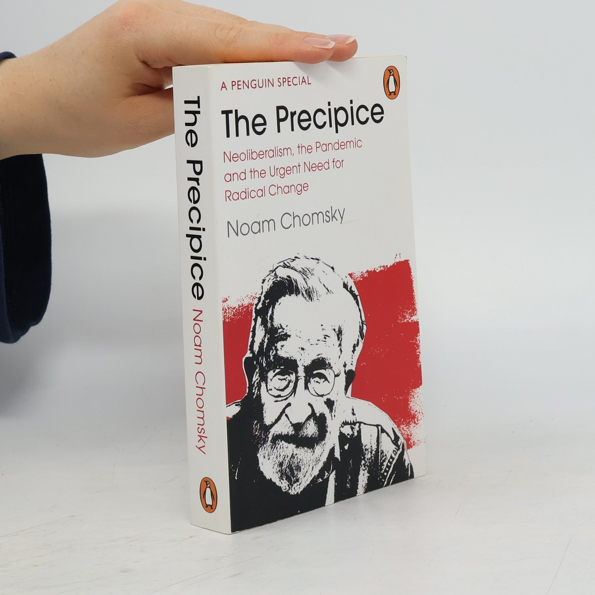 Noam Chomsky The Precipice