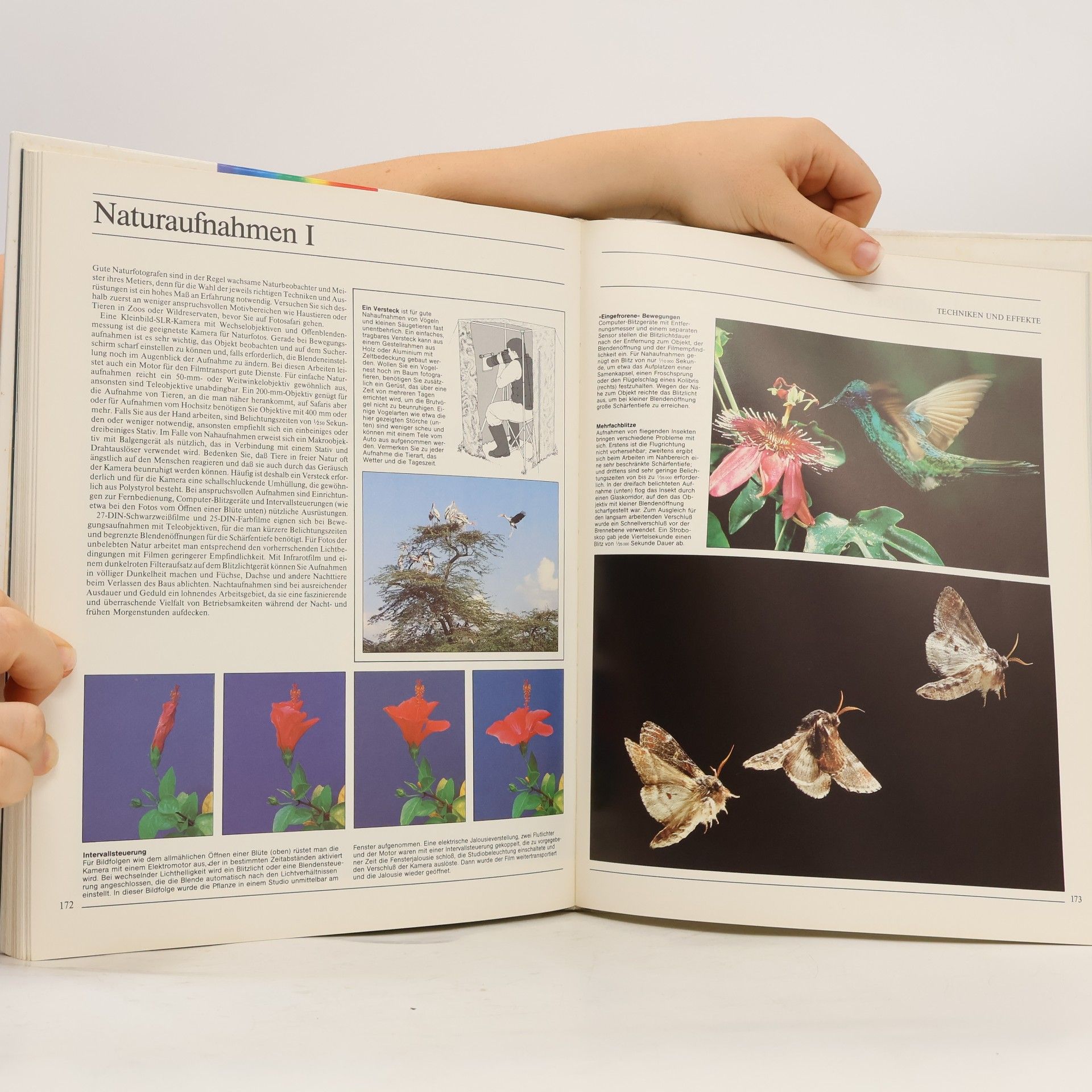 John Hedgecoe Fotografie für Könner