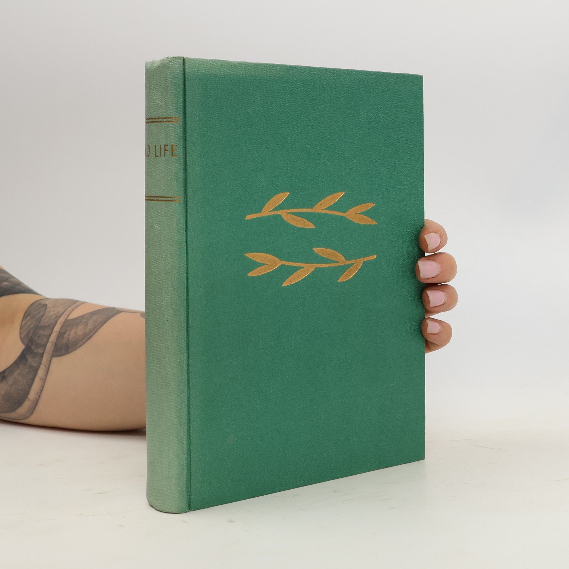 Kolektiv autorů Wild Life Illustrated