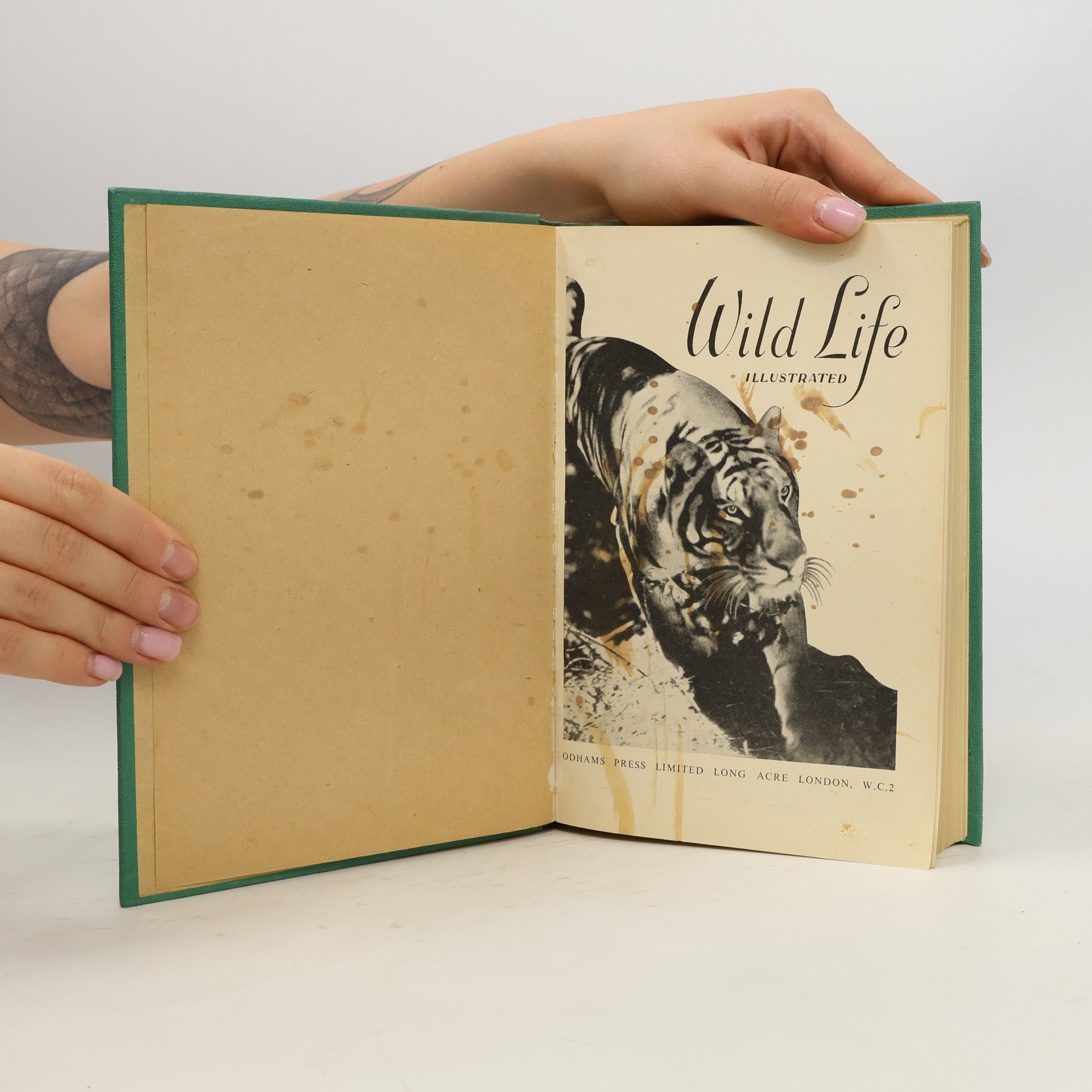 Kolektiv autorů Wild Life Illustrated