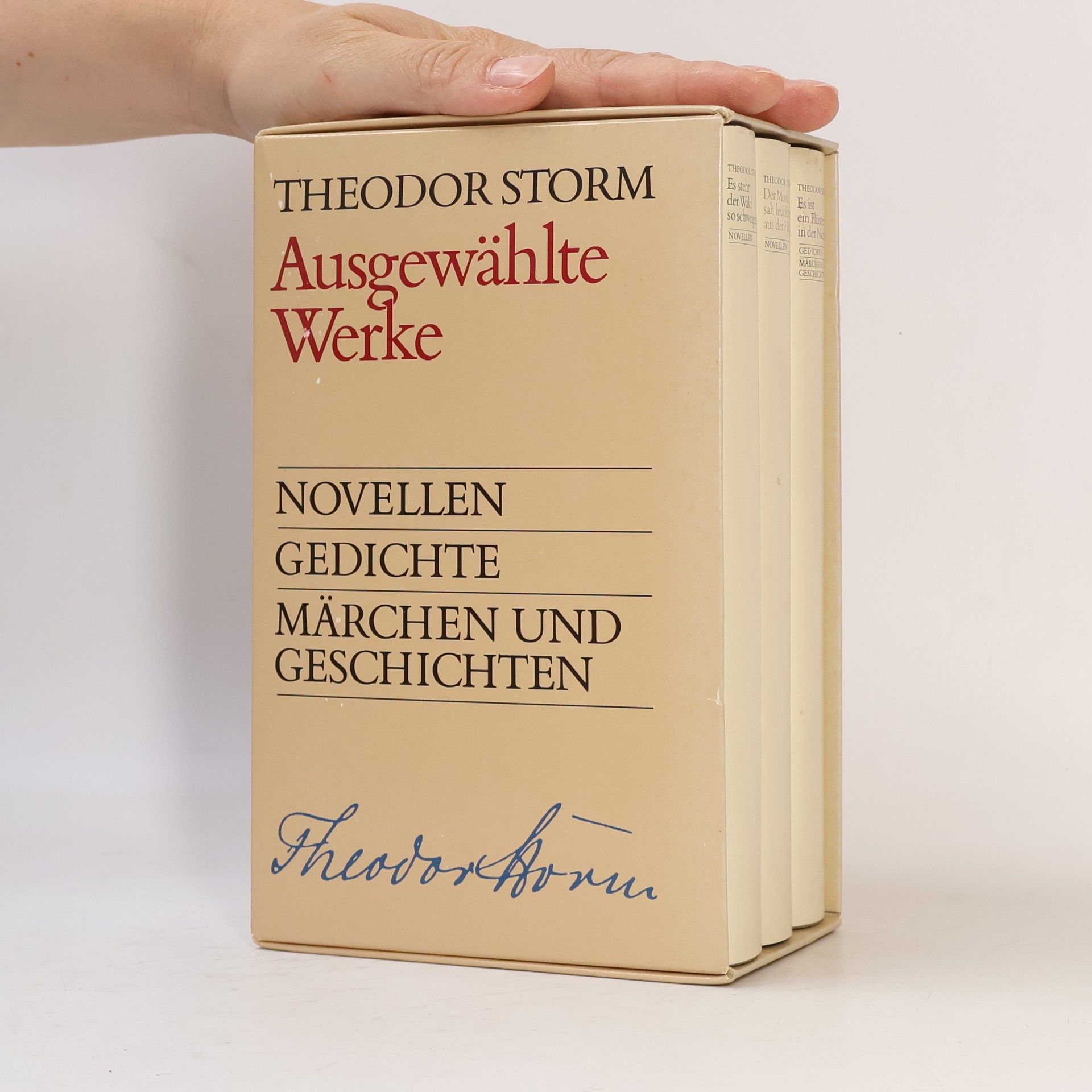 Theodor Storm Ausgewählte Werke