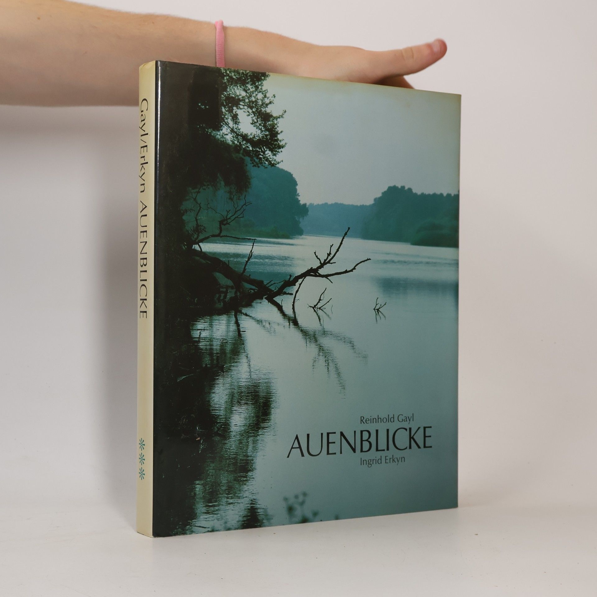 Auenblicke