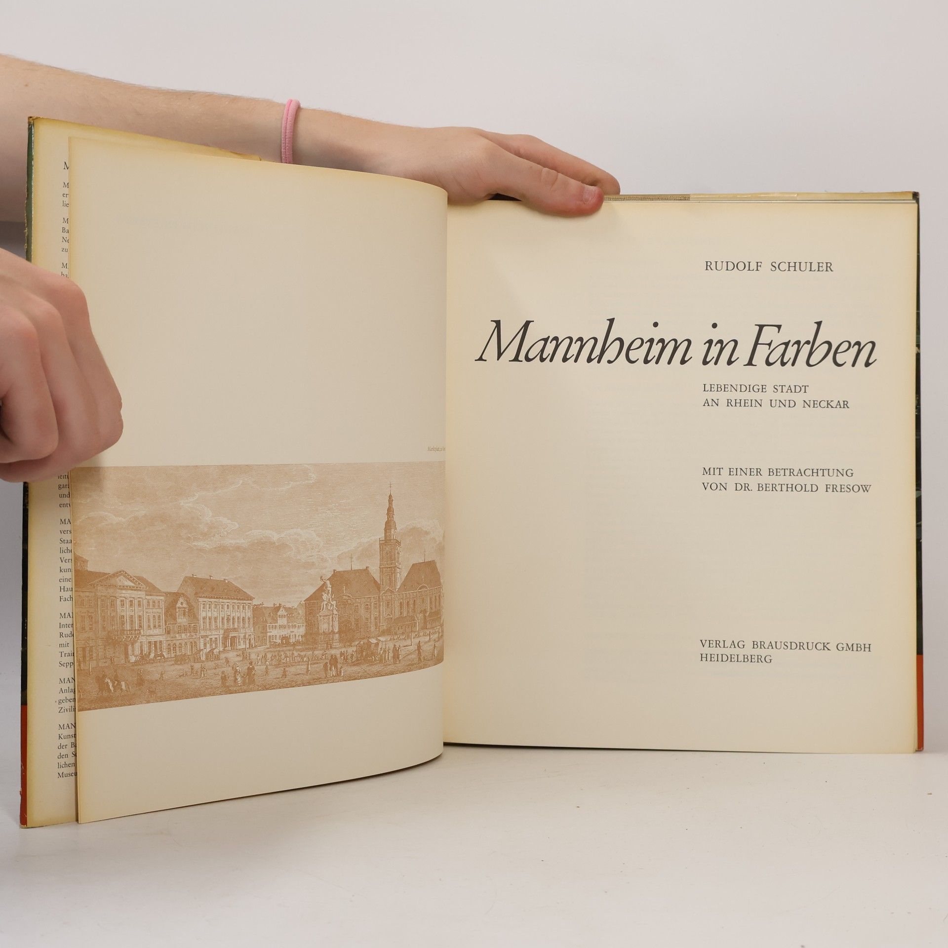 Rudolf Schuler Mannheim in Farben