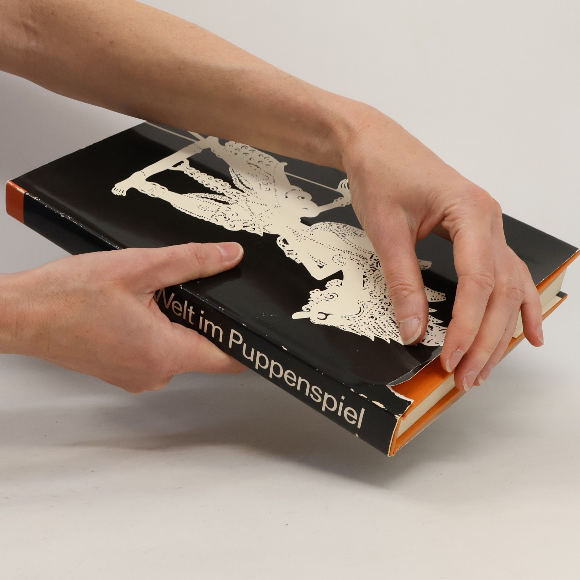 Rene Simmen Die Welt im Puppenspiel