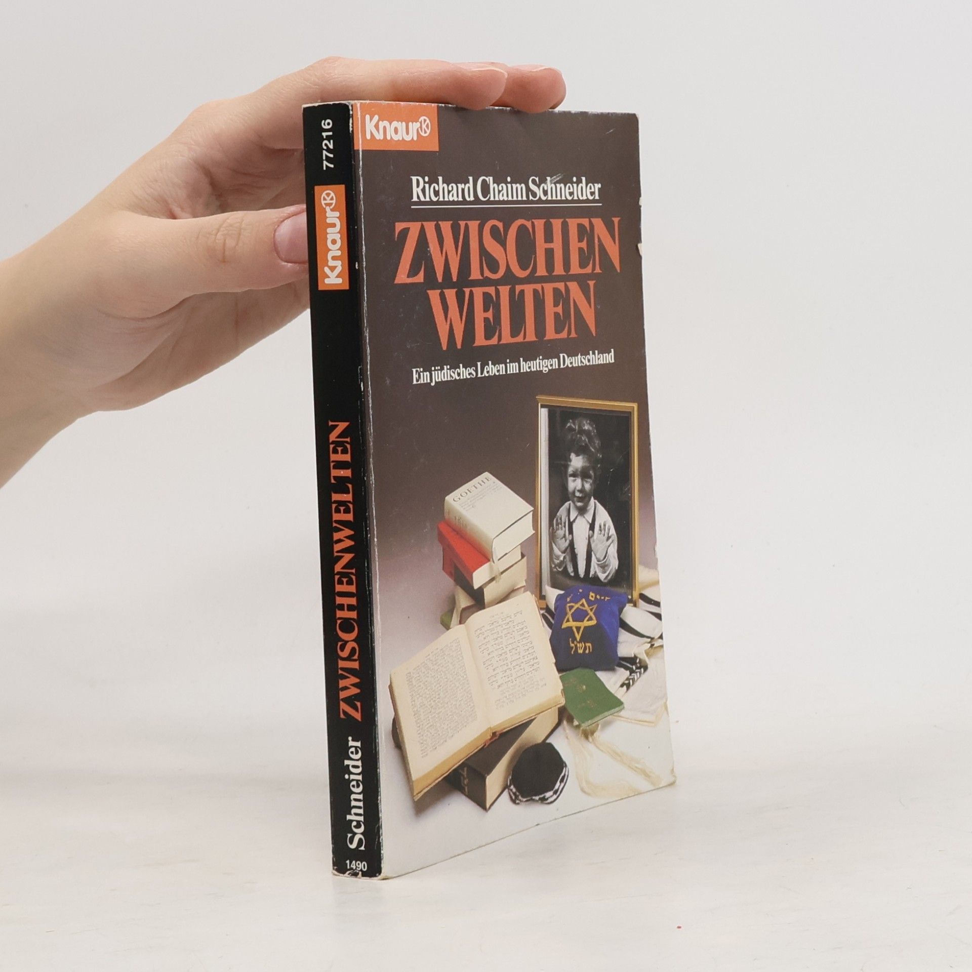 Richard Chaim Schneider Knaur Taschenbücher: Zwischenwelten