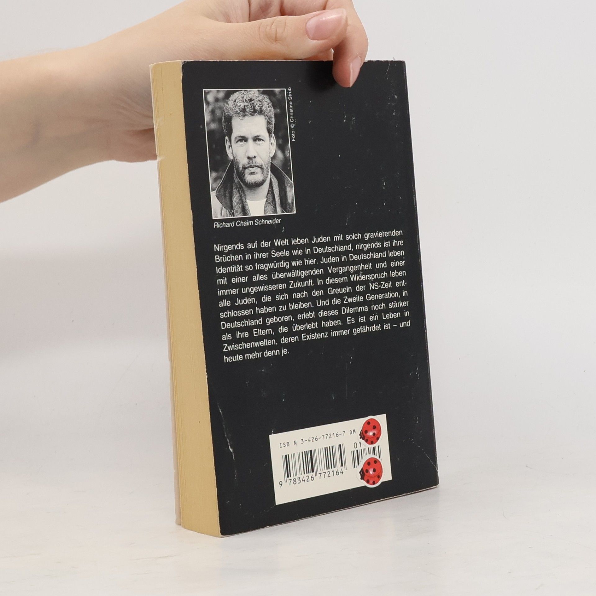 Richard Chaim Schneider Knaur Taschenbücher: Zwischenwelten