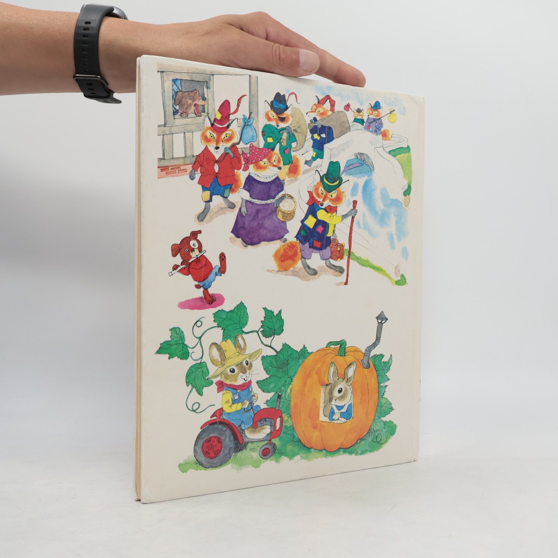 Richard Scarry Mein allerschönstes Geschichtenbuch