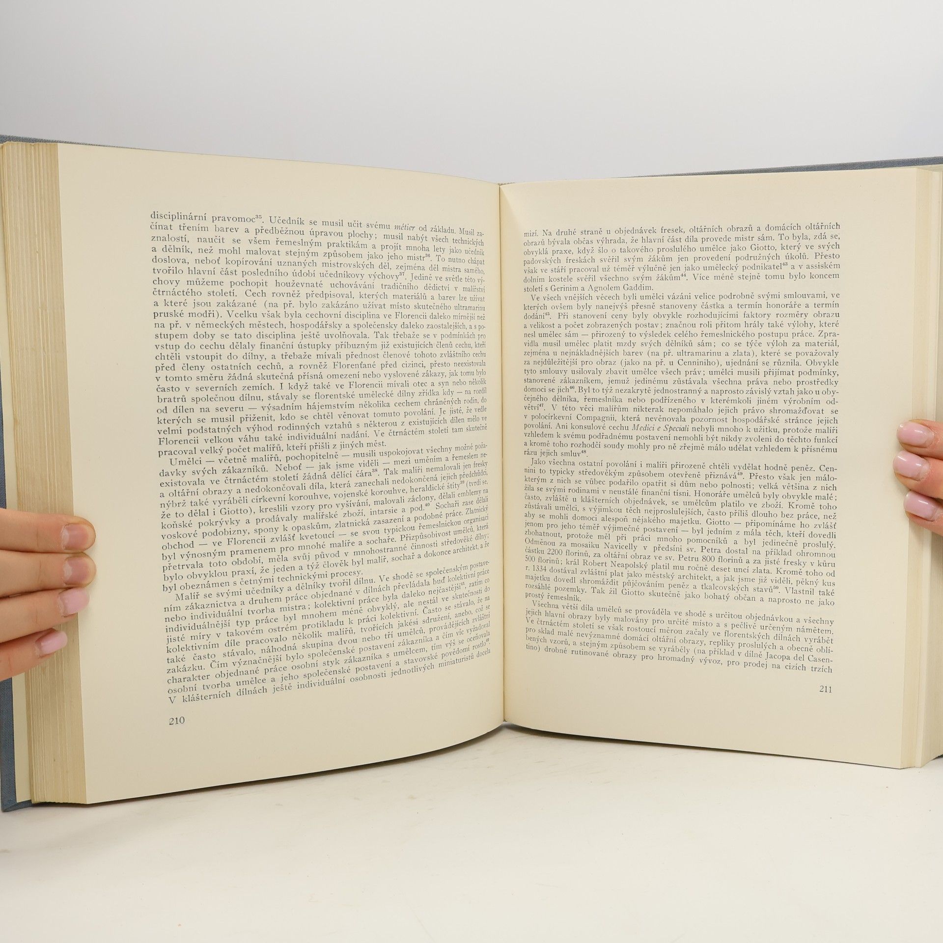 Frederick Antal Florentské malířství a jeho společenské pozadí mešťanská republika, než převzal moc Cosimo de´Medici, XIV. století a počátek století XV.