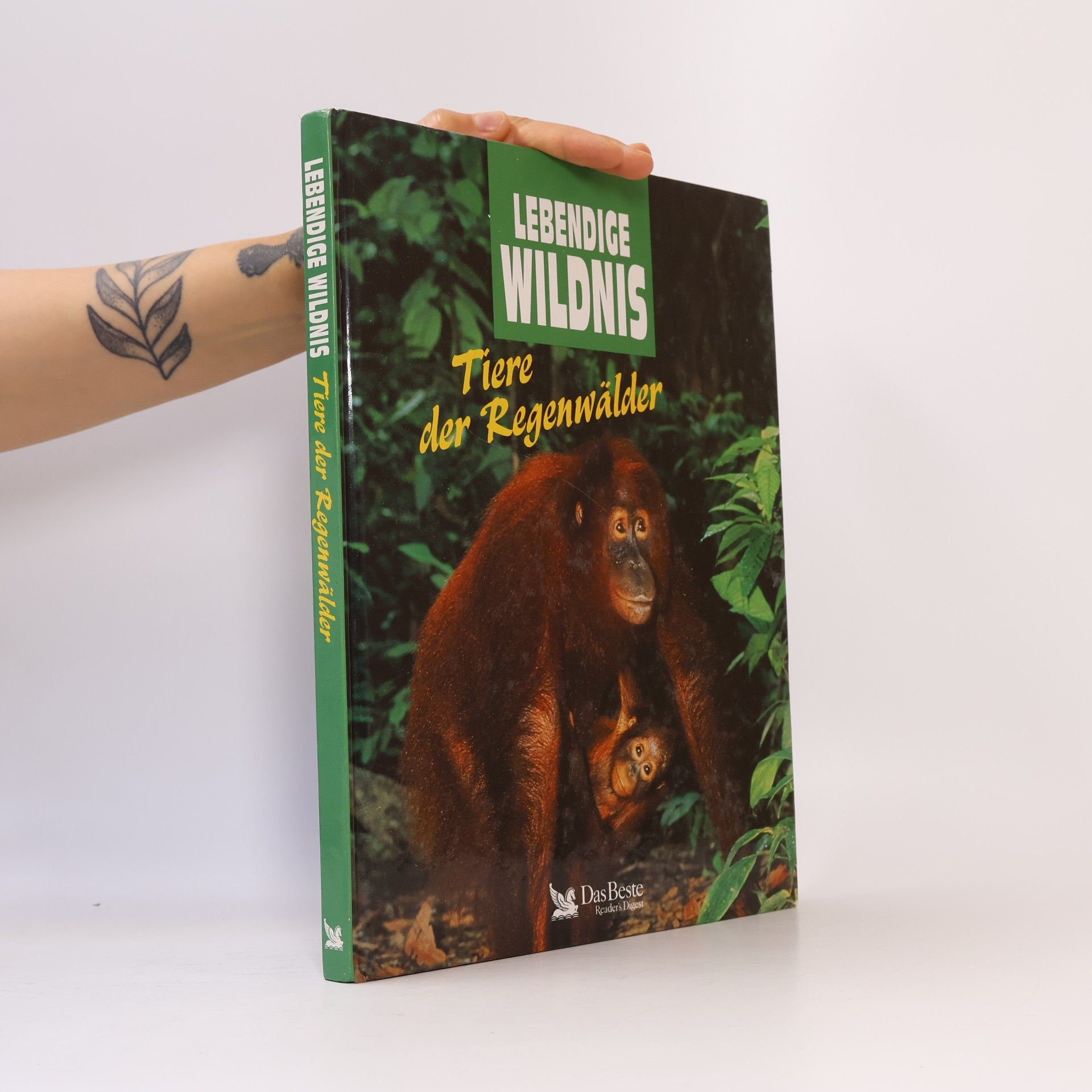 Autorenkollektiv Lebendige Wildnis - Tiere der Regenwälder