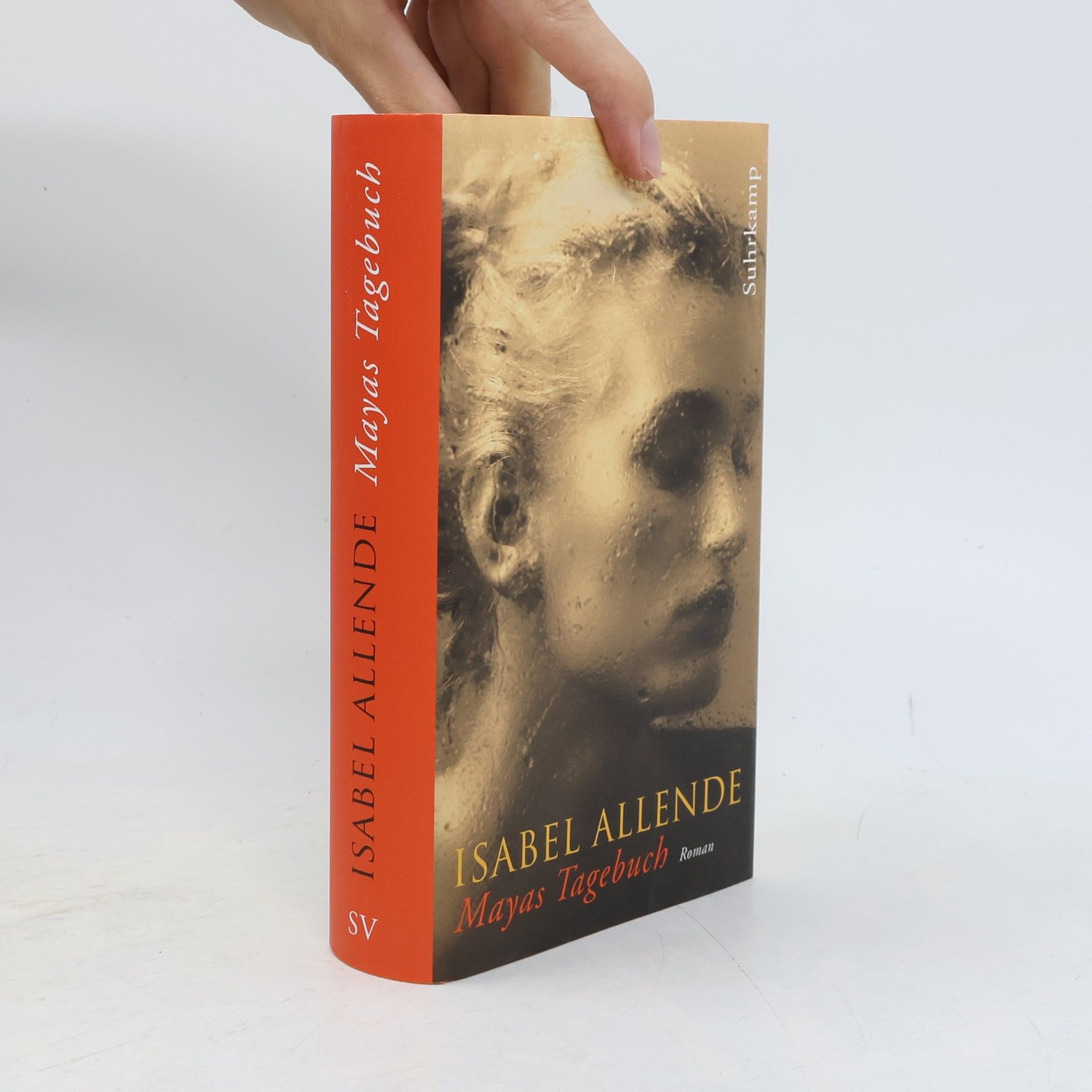 Isabel Allende Mayas Tagebuch. Roman
