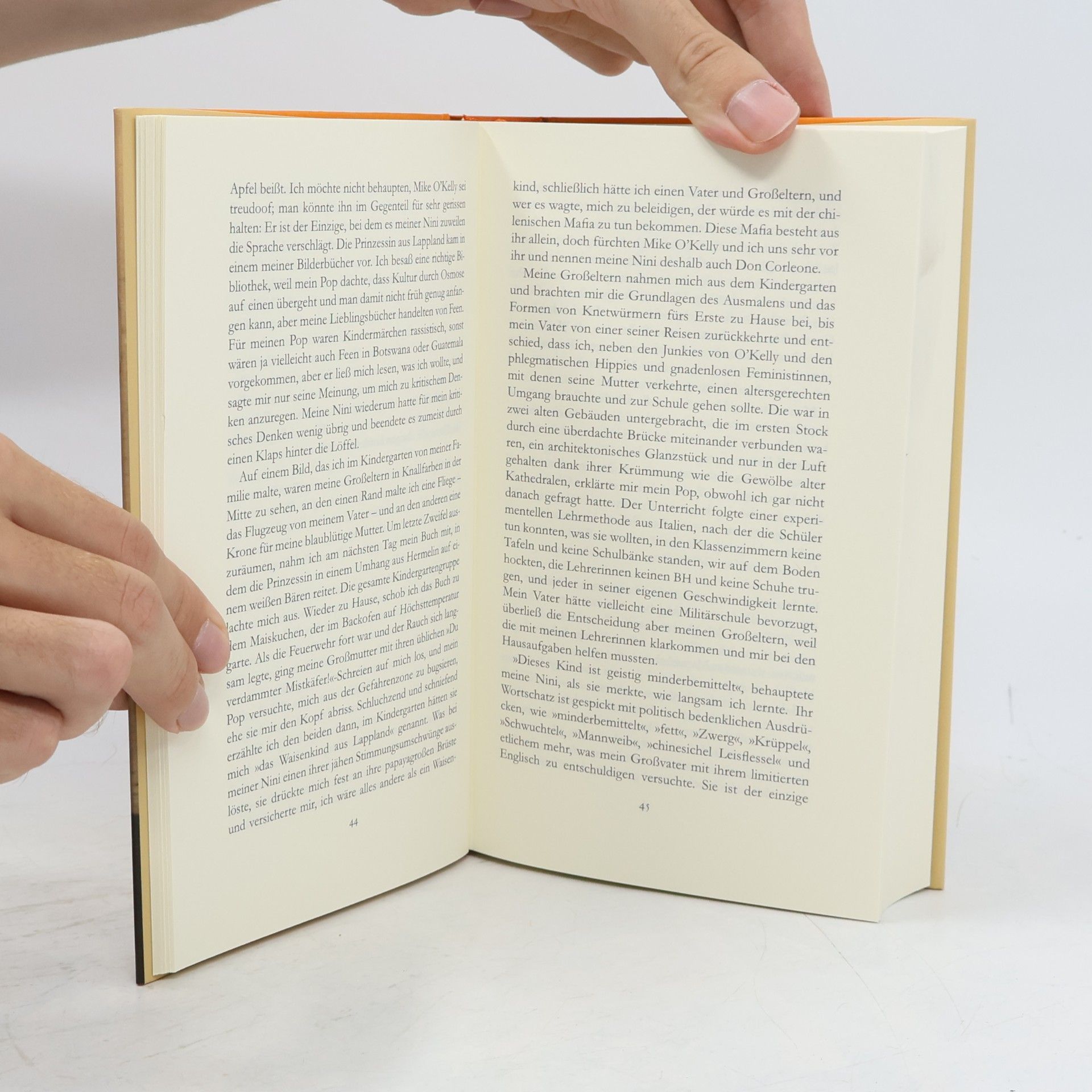 Isabel Allende Mayas Tagebuch. Roman
