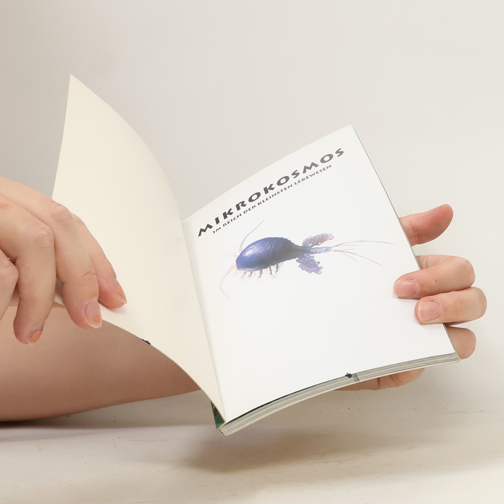 Hans Eysenck Das Intelligenz Testbuch