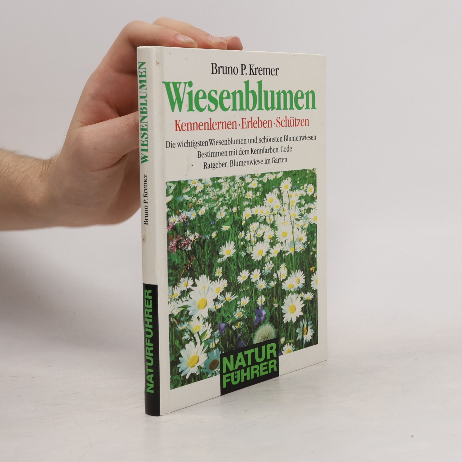 Bruno P. Kremer Wiesenblumen
