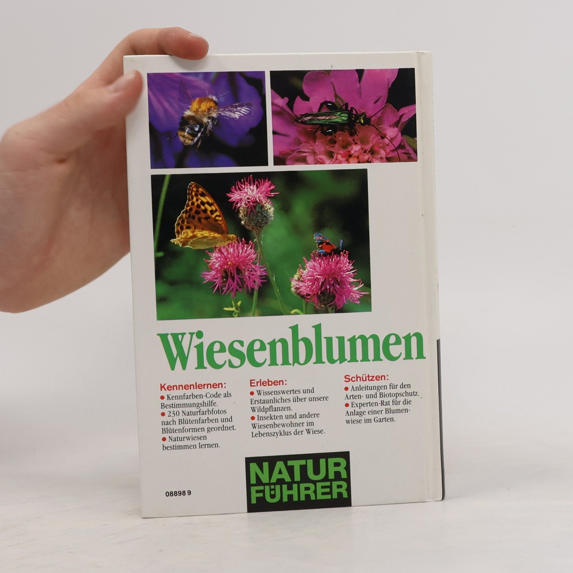 Bruno Kremer Wiesenblumen