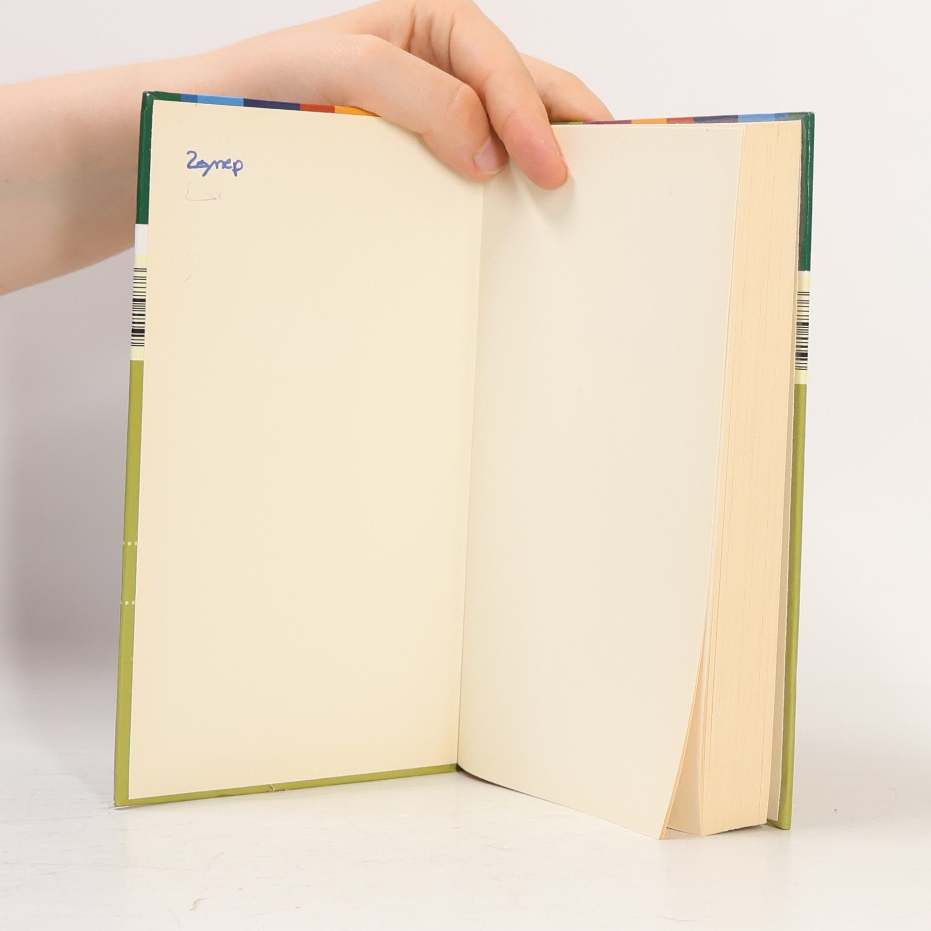 Karl-Dieter Bünting Handbuch zur neuen Rechtschreibung