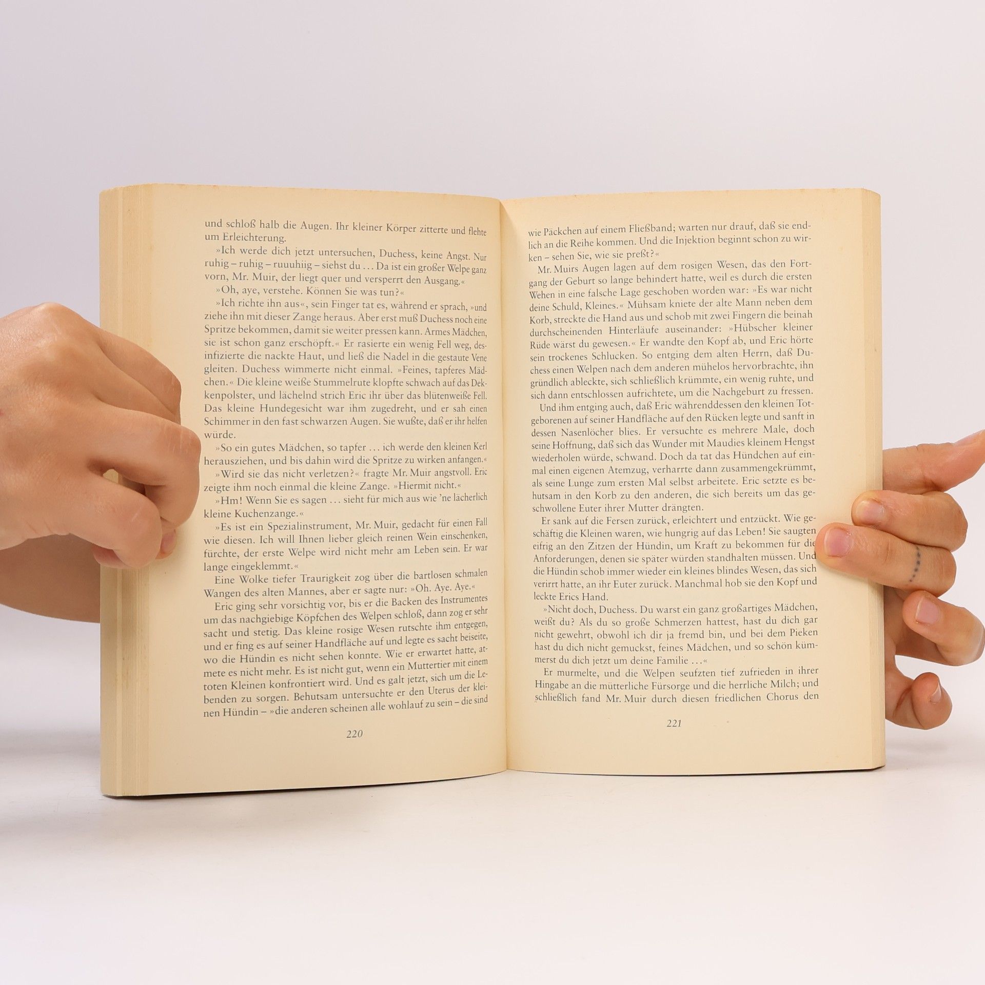 Evita Wolff Im Schatten des Pferdemondes. Sonderausgabe.