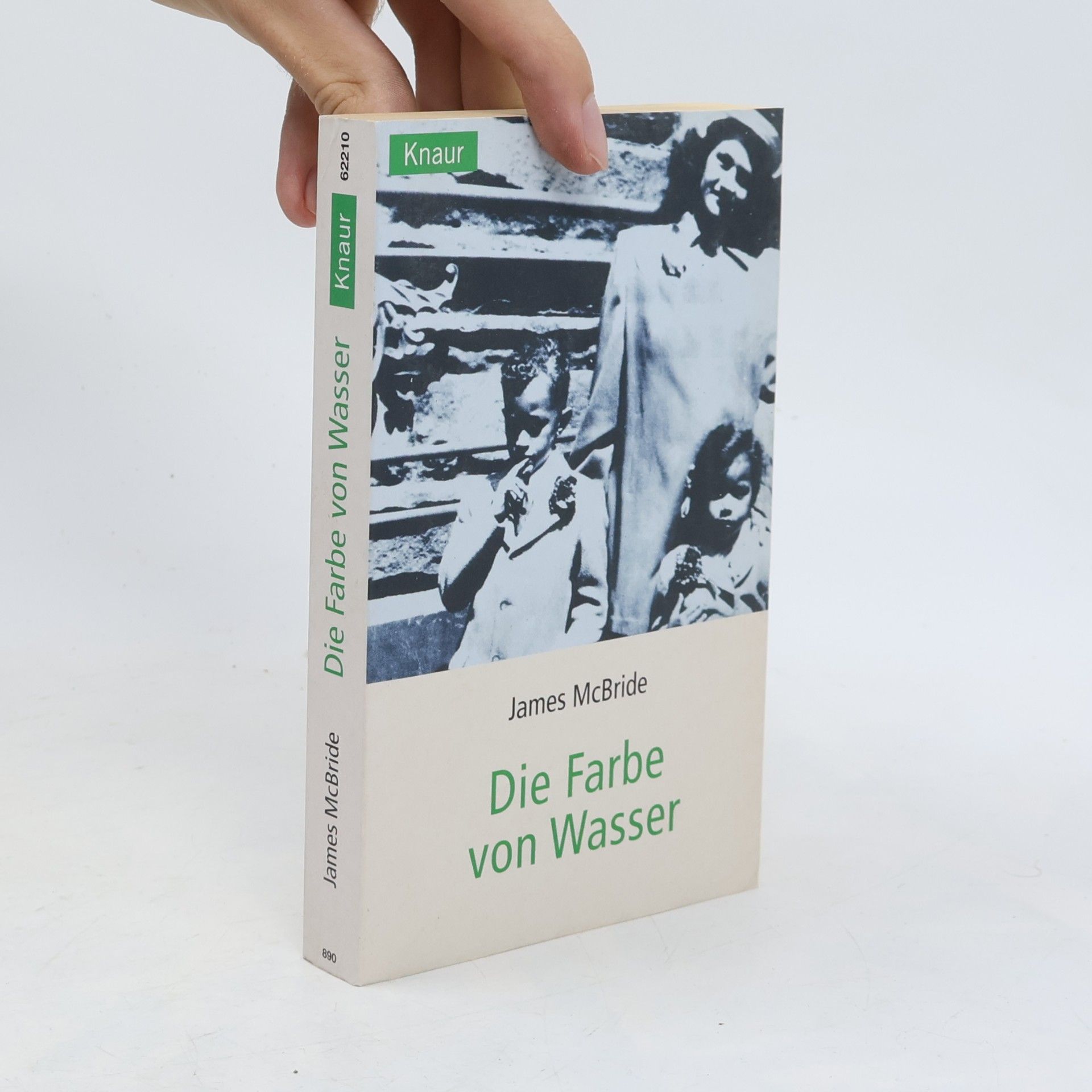 James McBride Die Farbe von Wasser