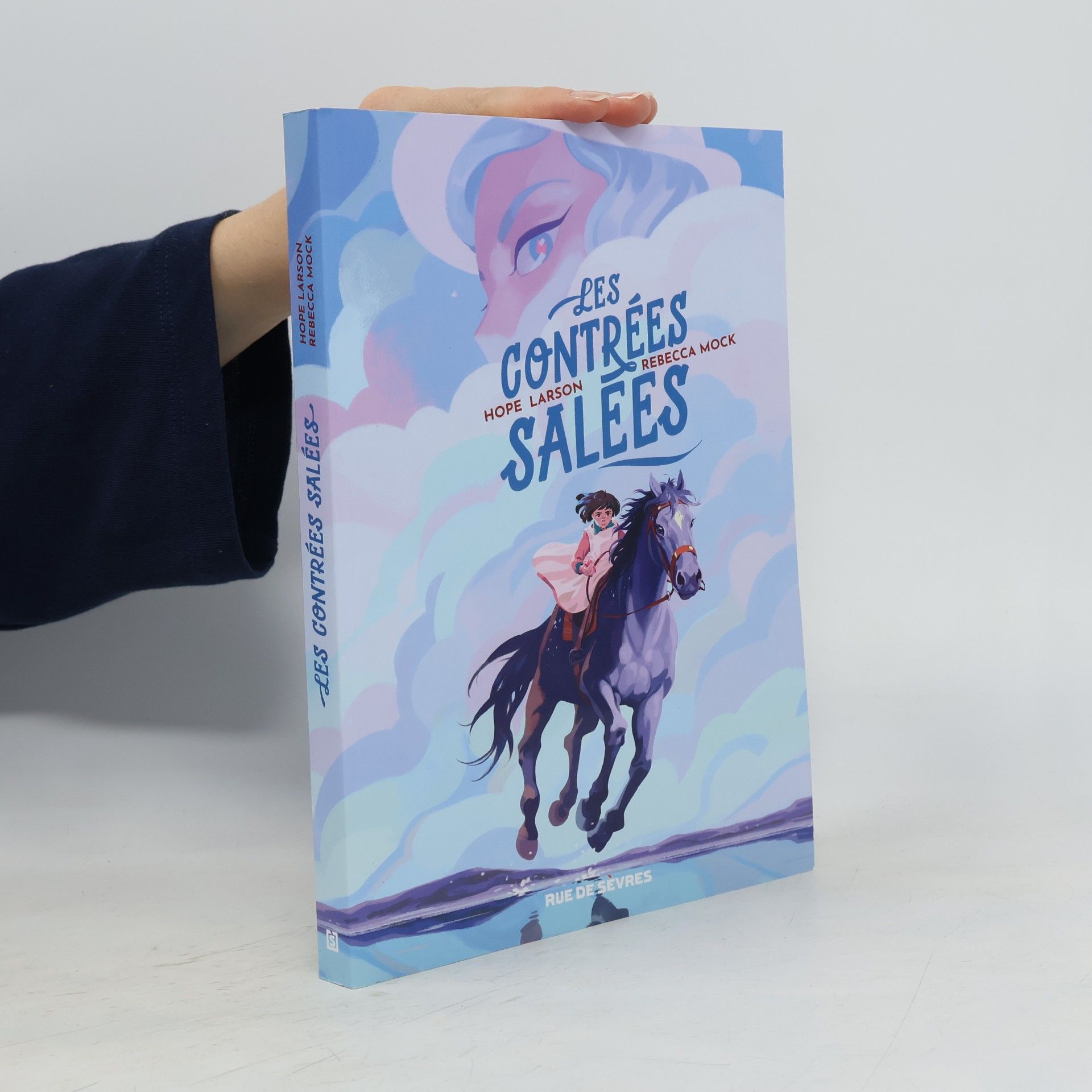 Rebecca Mock Les Contrées Salées