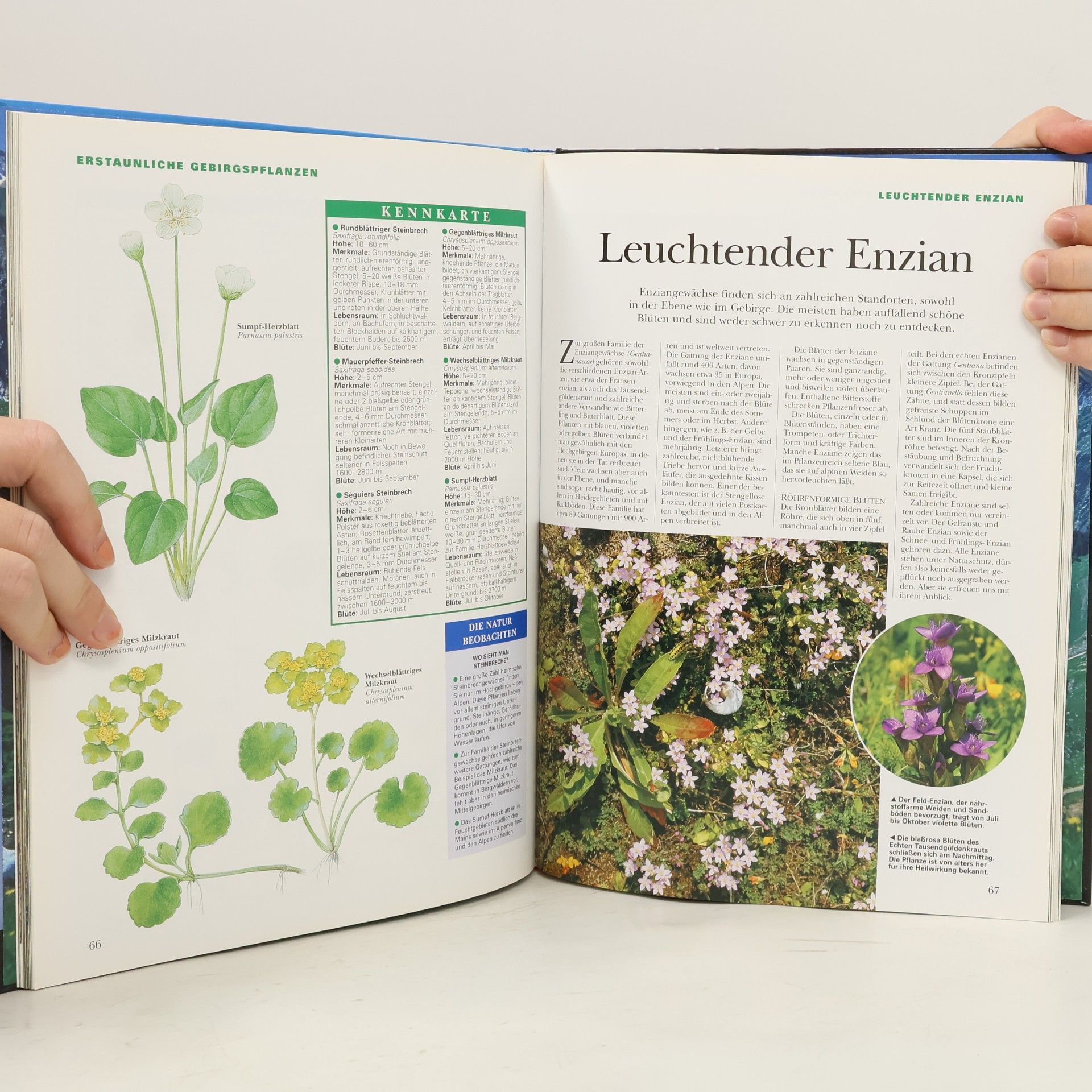 Bärbel Oftring Bild-Natur-Bibliothek WWF