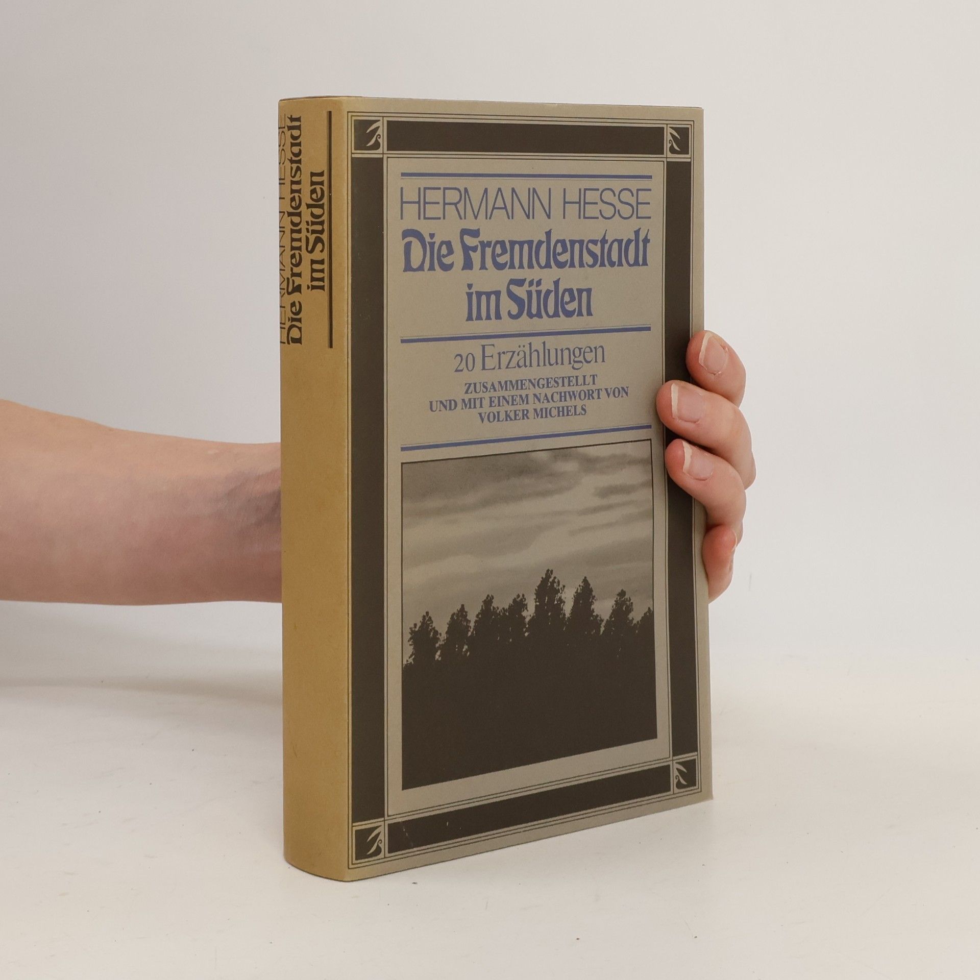 Hermann Hesse Die Fremdenstadt im Süden