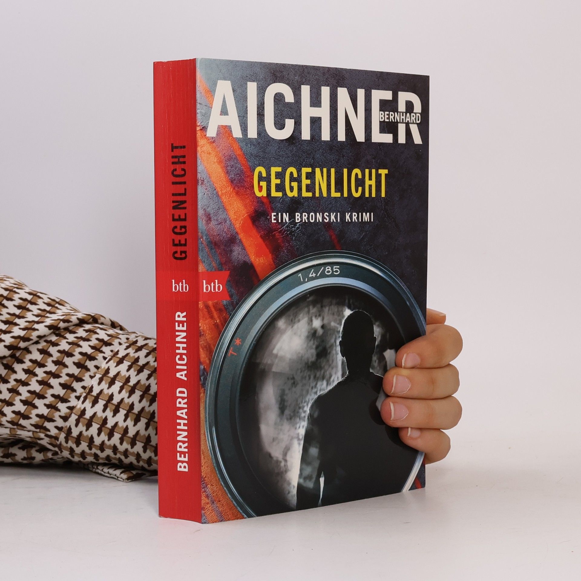 Bernhard Aichner Gegenlicht